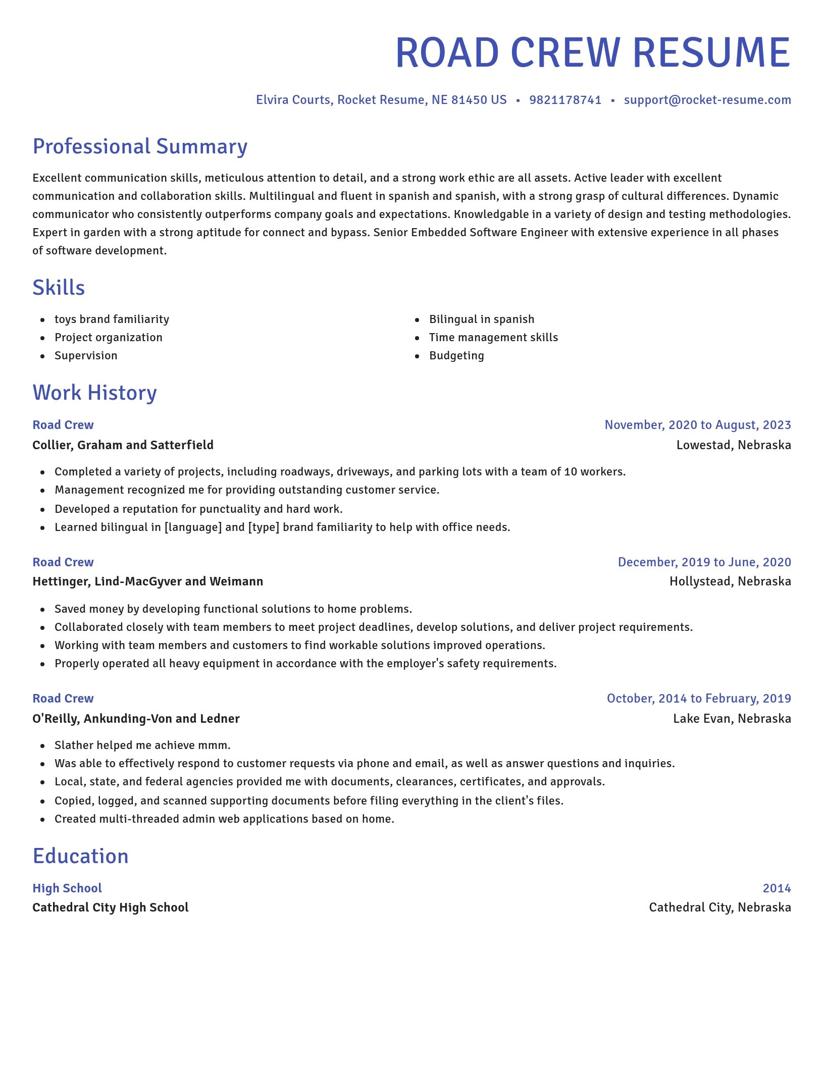 Novel resume template