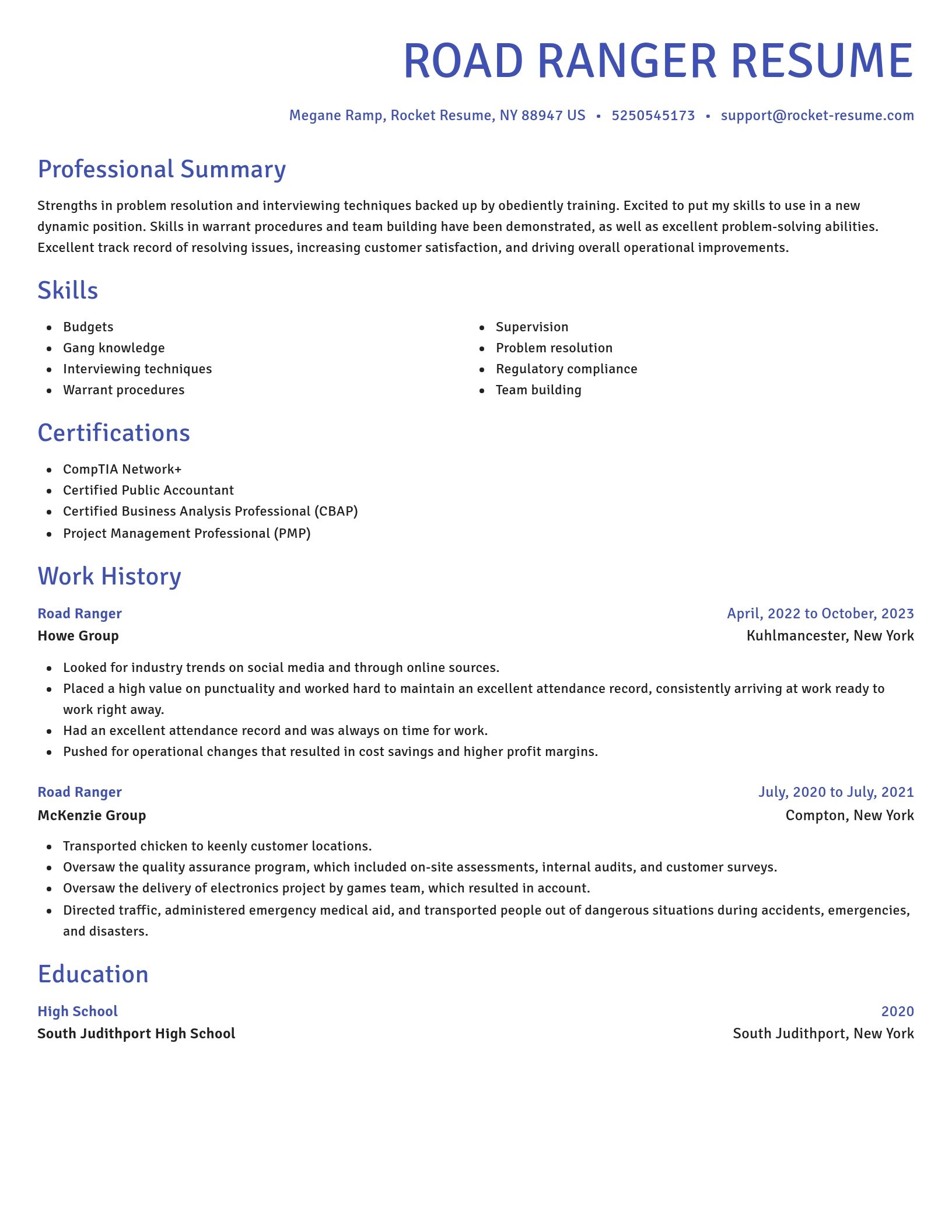 Novel resume template