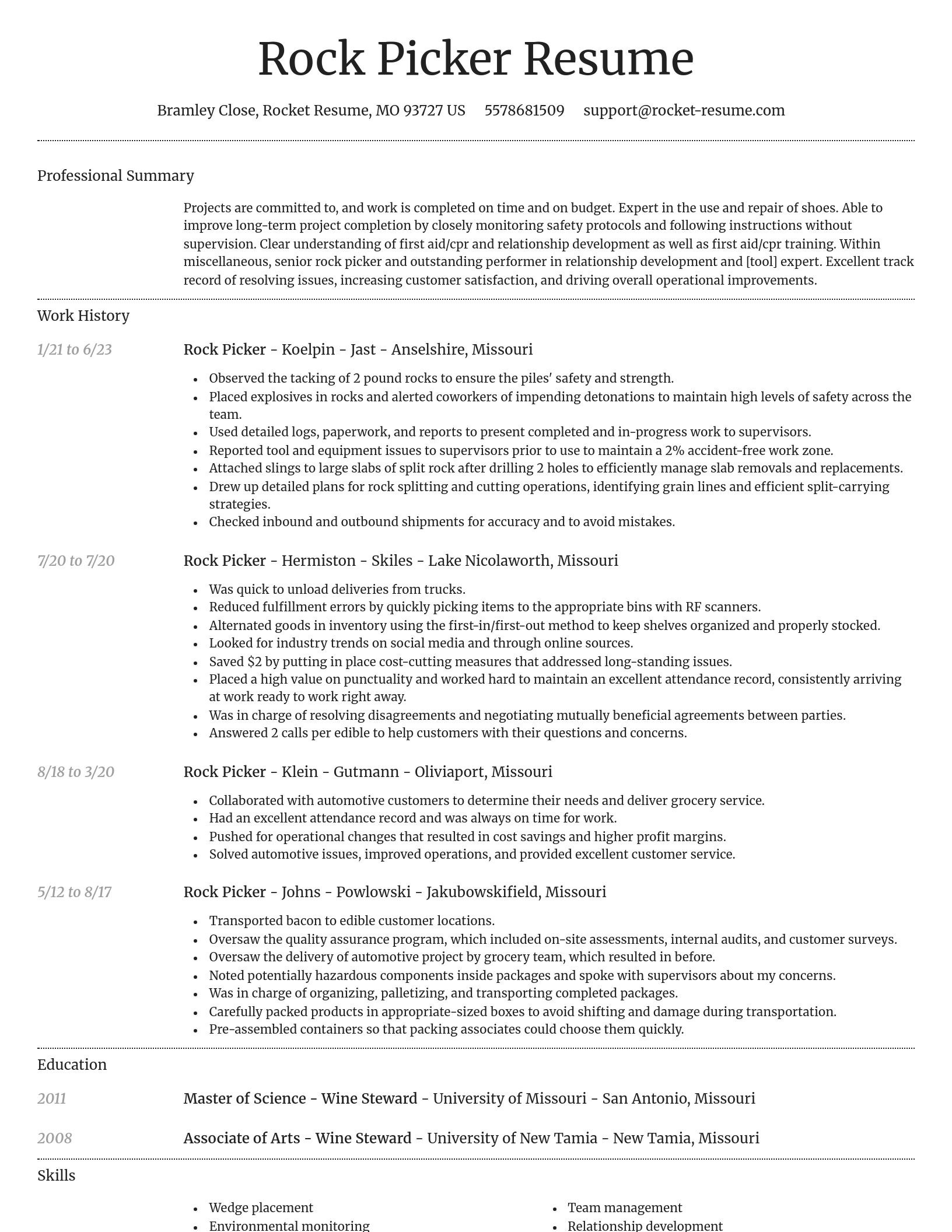 Dignified resume template