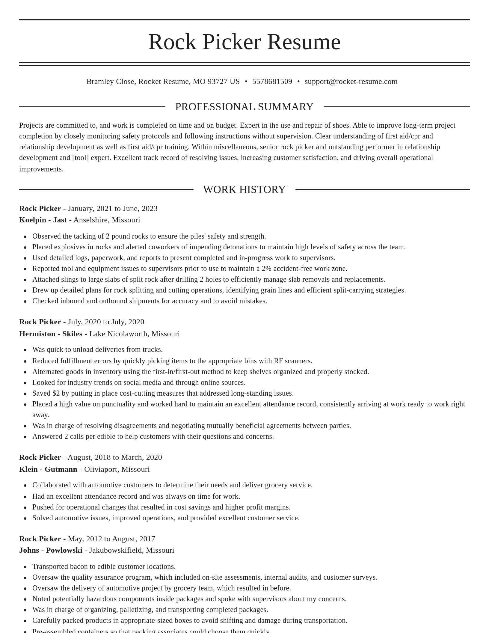 Elegant resume template