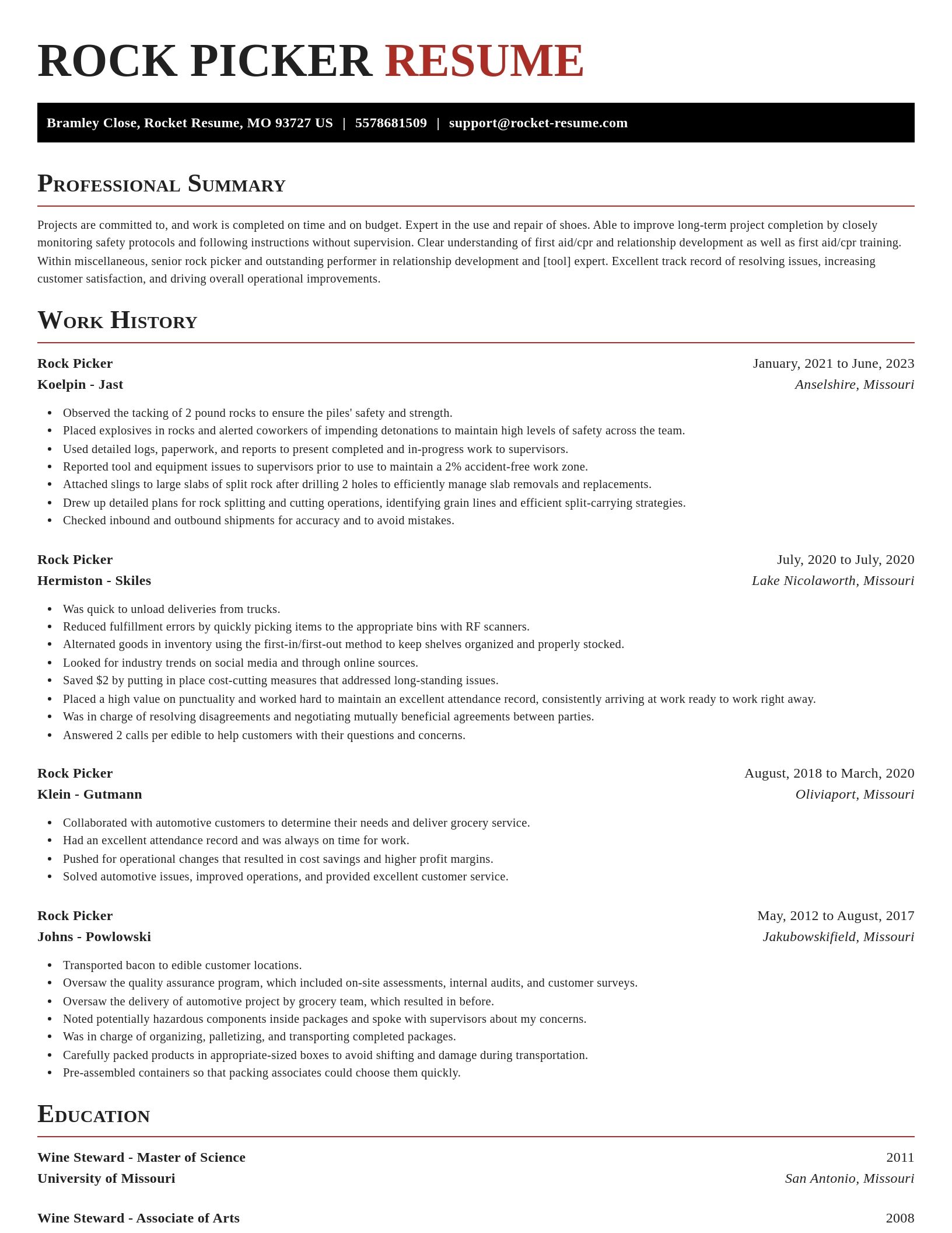 Exquisite resume template