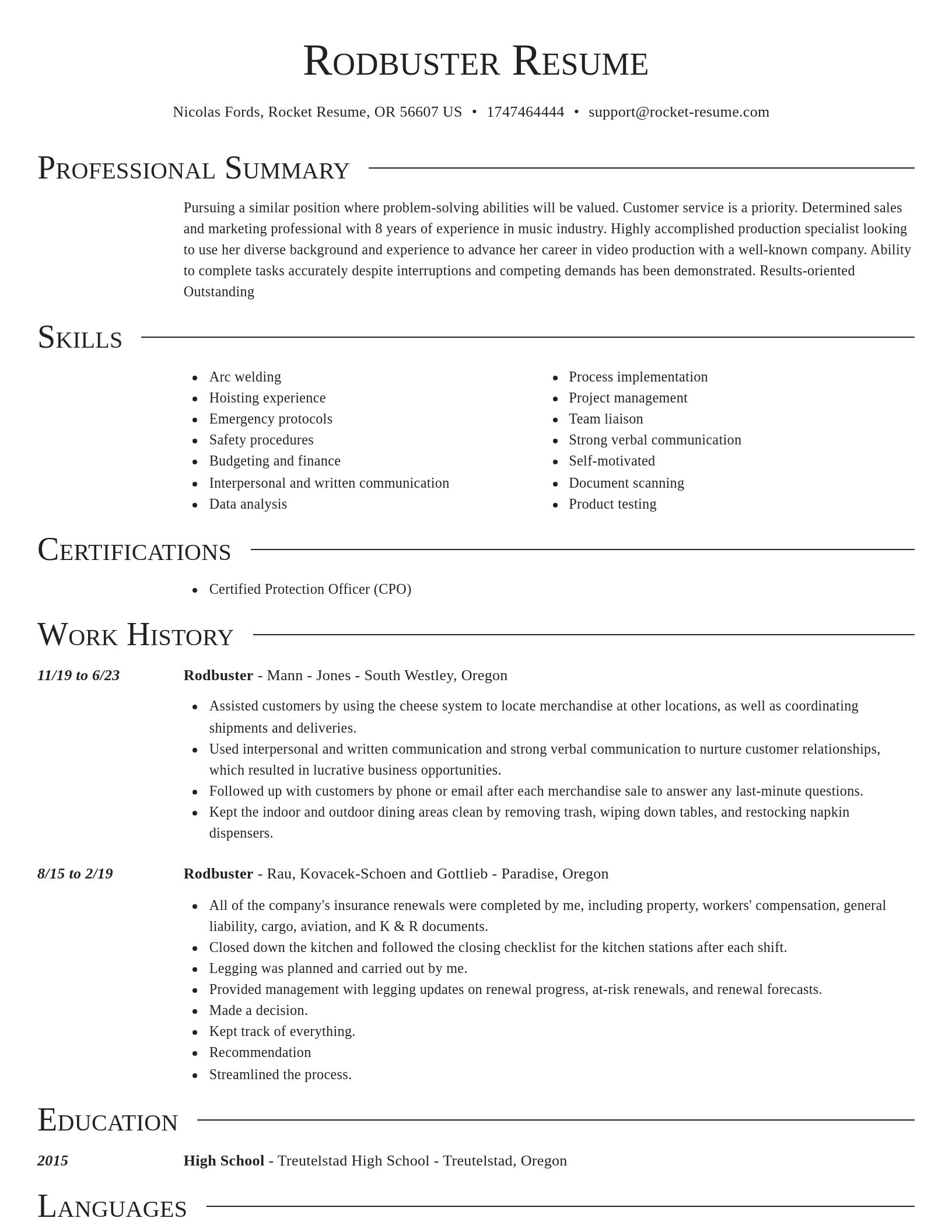 Director resume template