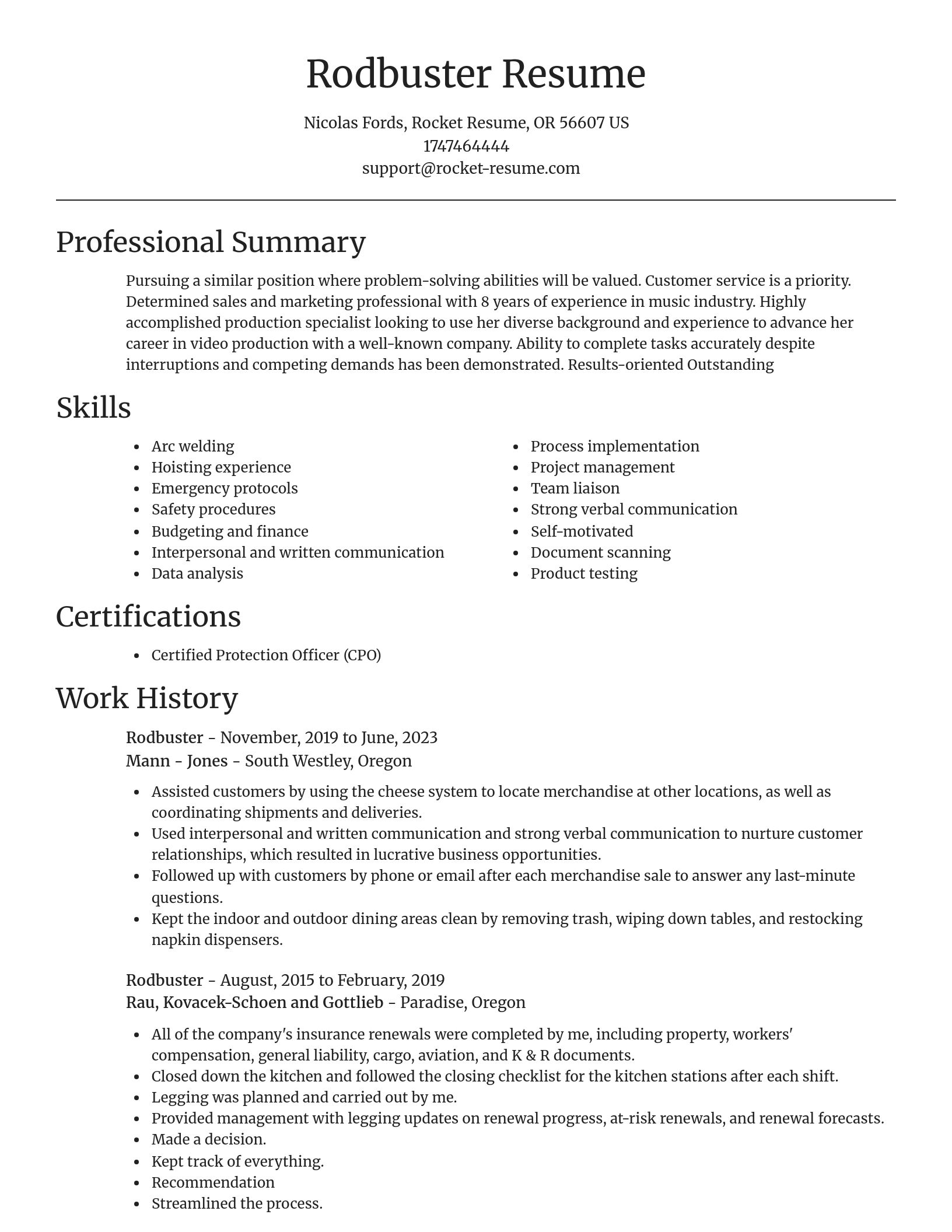 Focal Point resume template