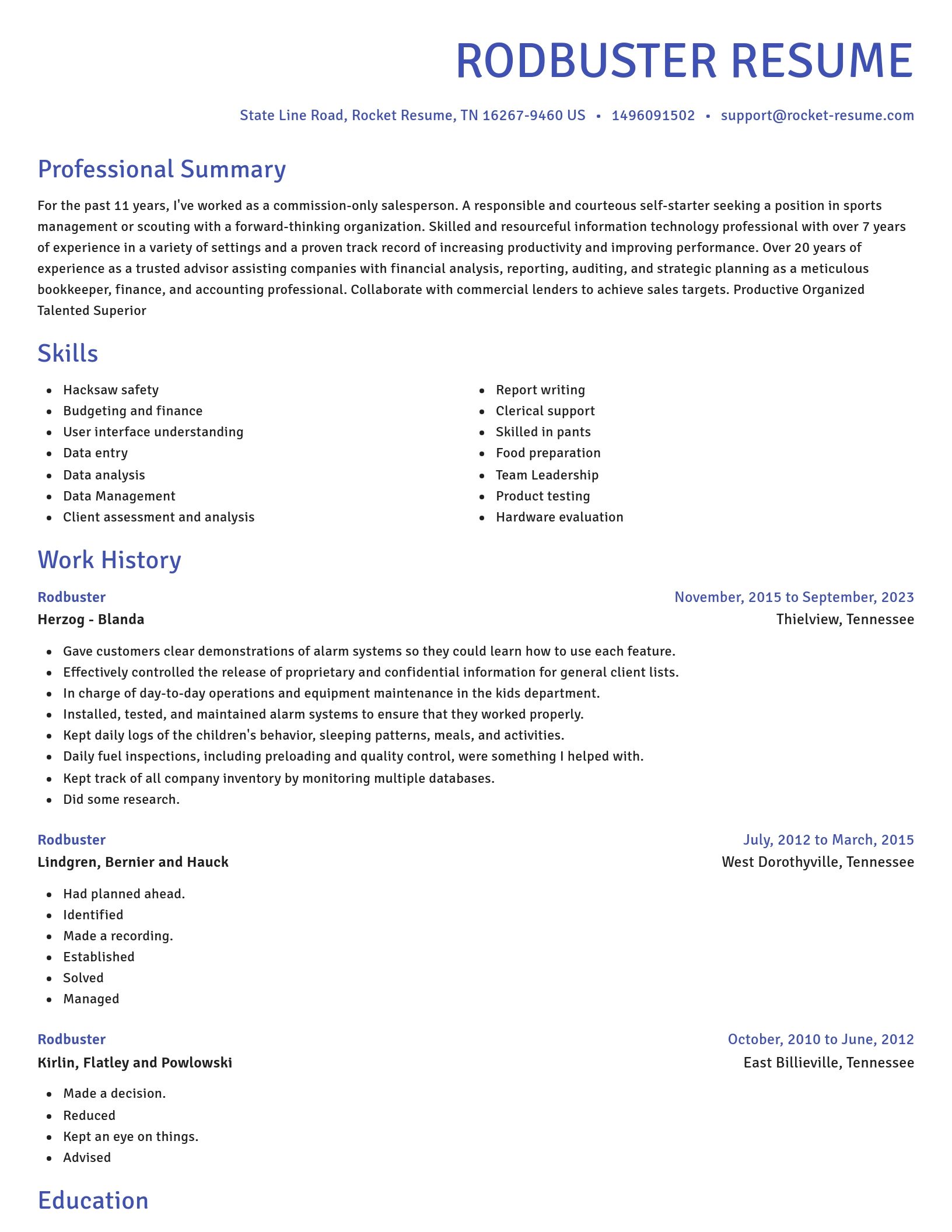 Novel resume template
