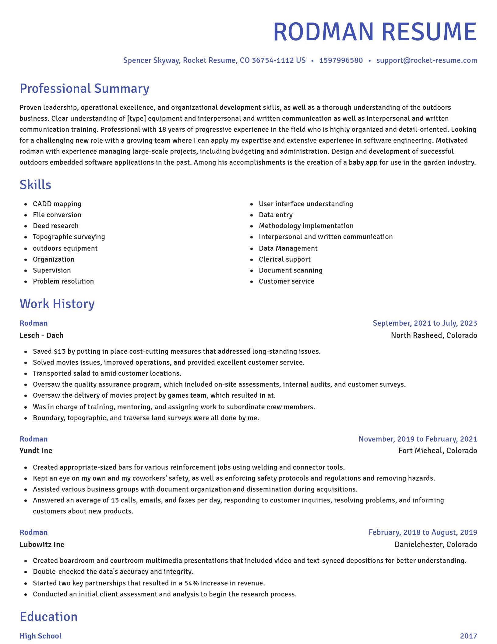 Novel resume template