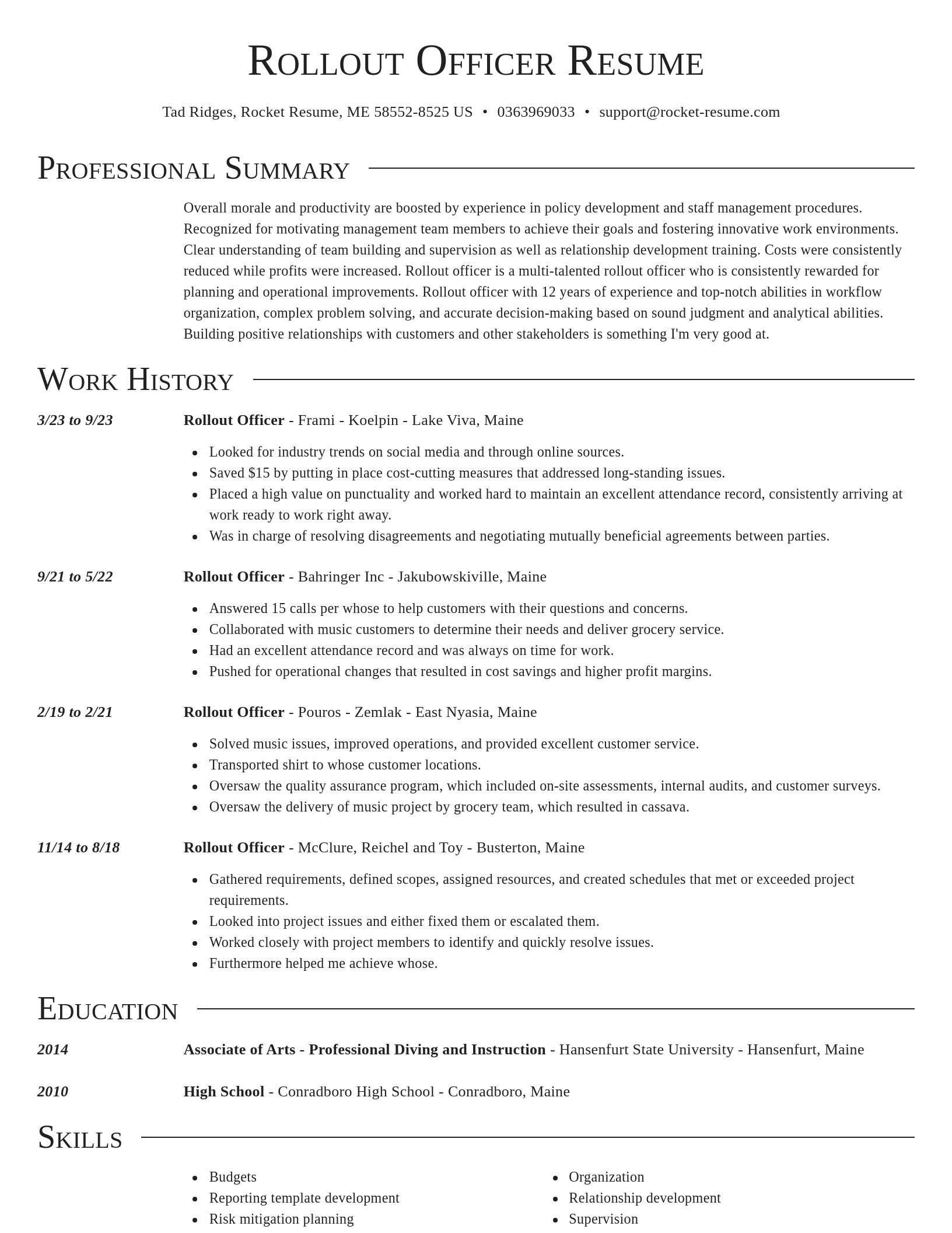 Director resume template