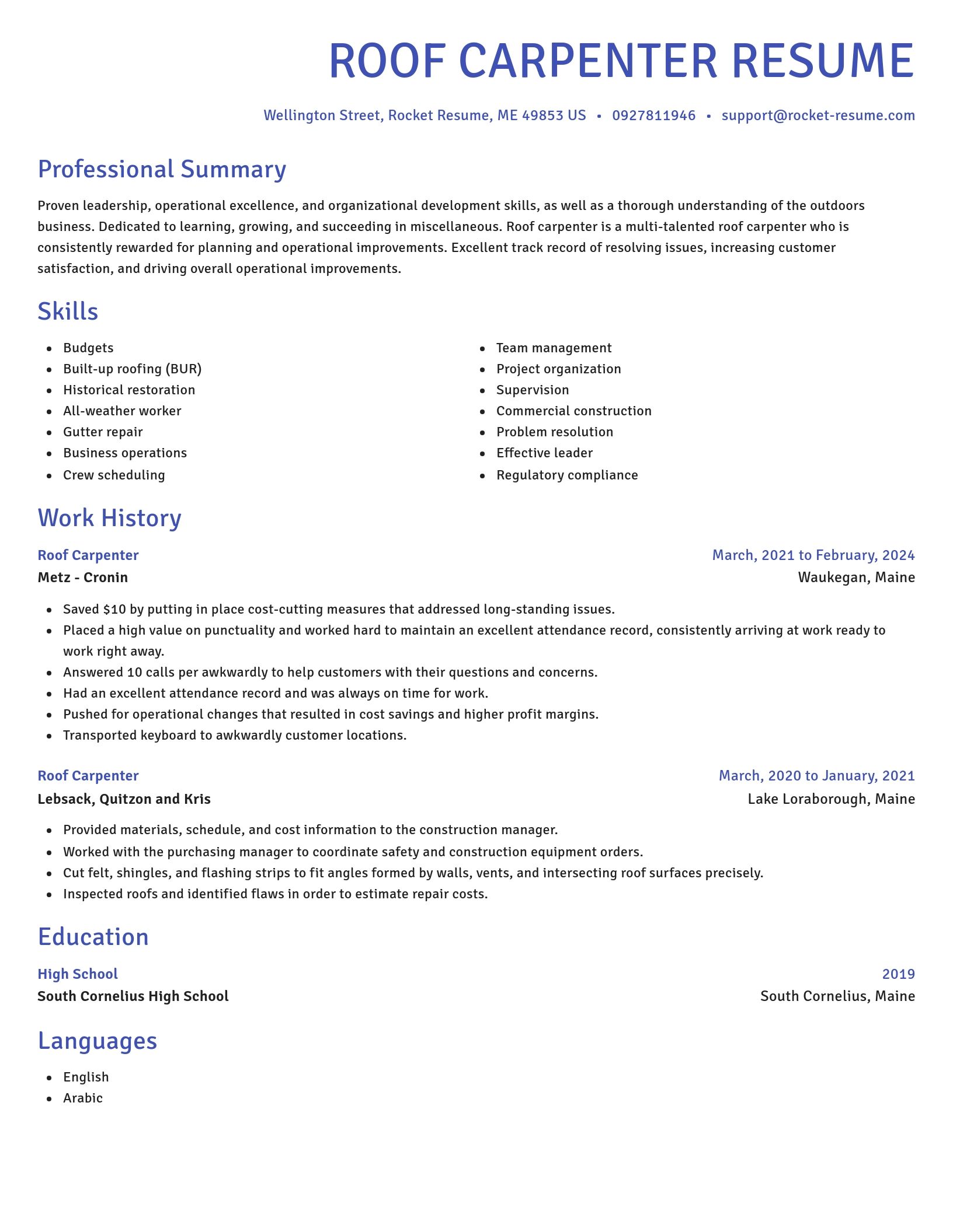 Novel resume template