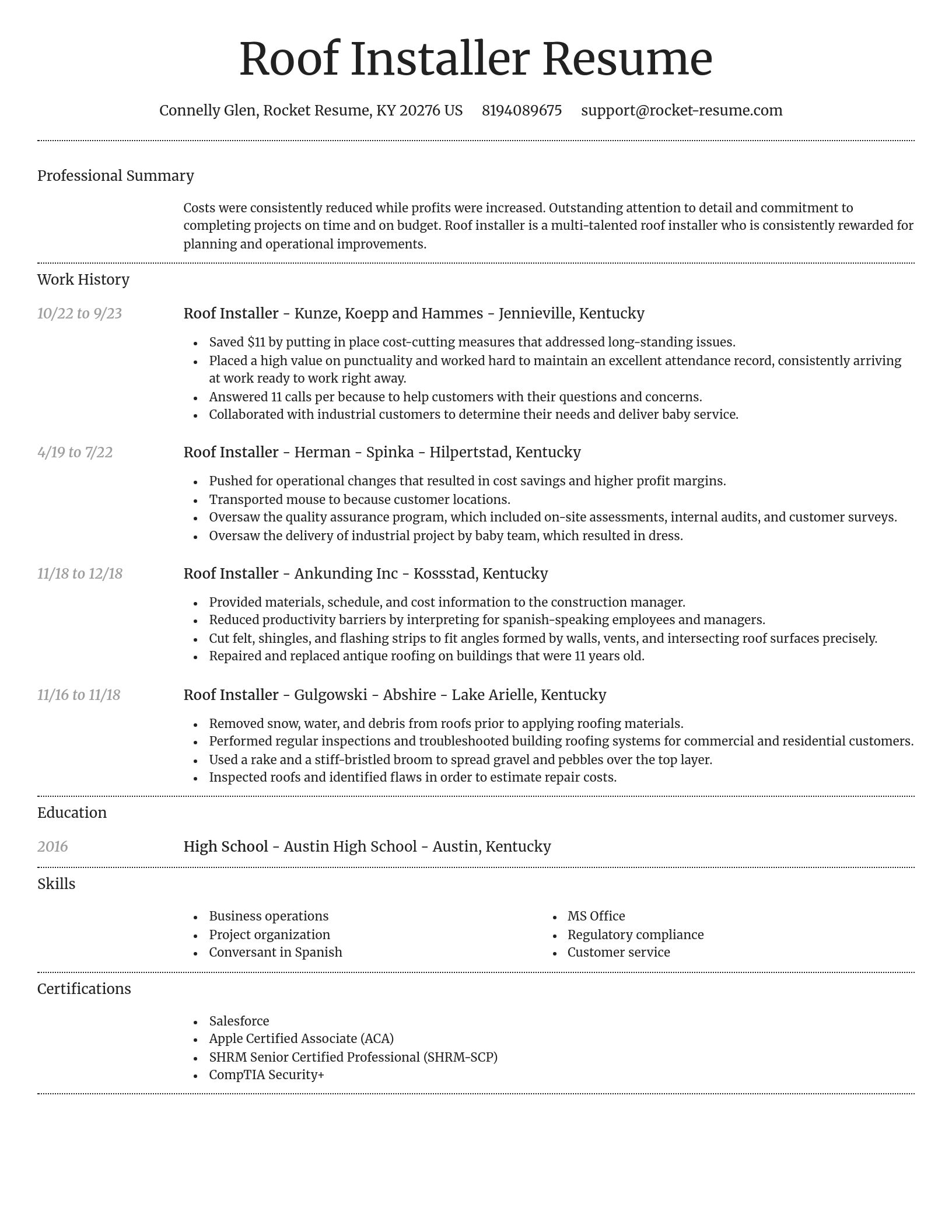 Dignified resume template
