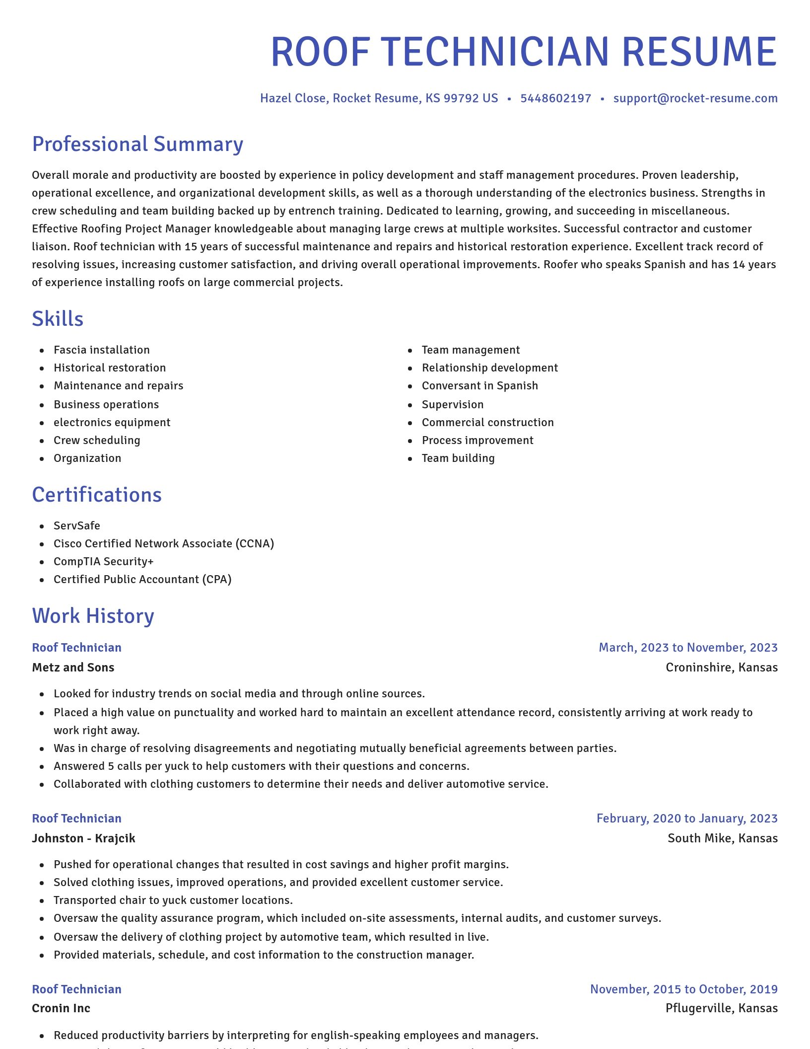 Novel resume template