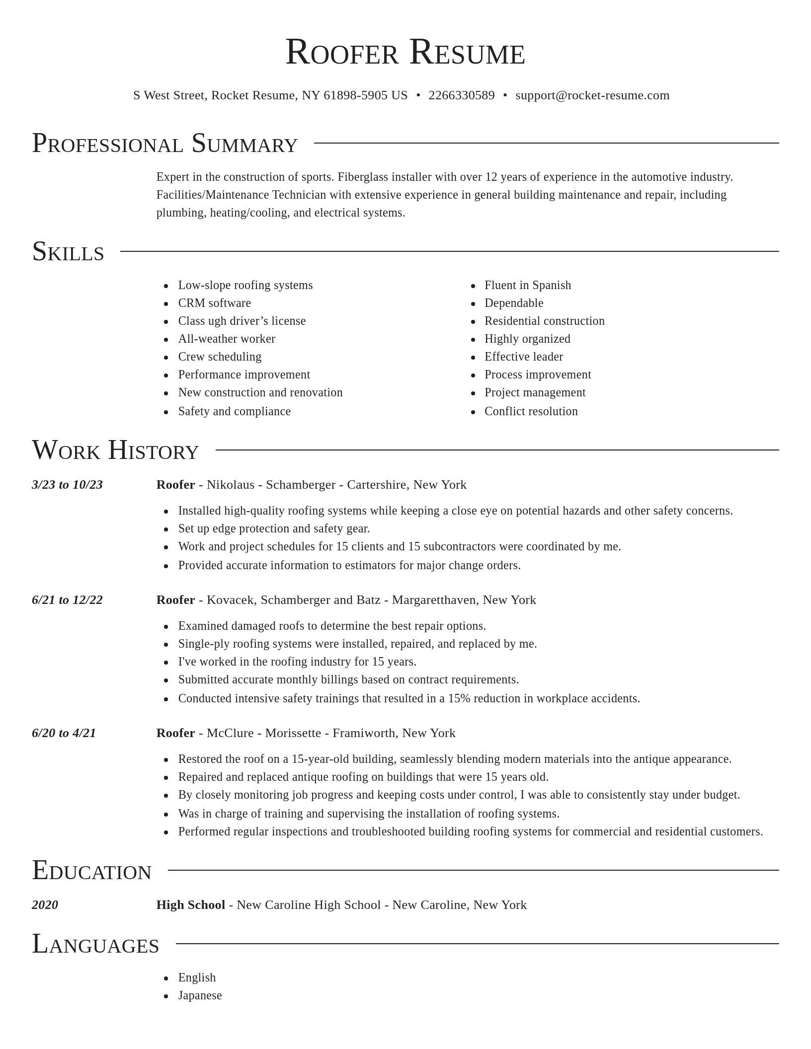 Director resume template