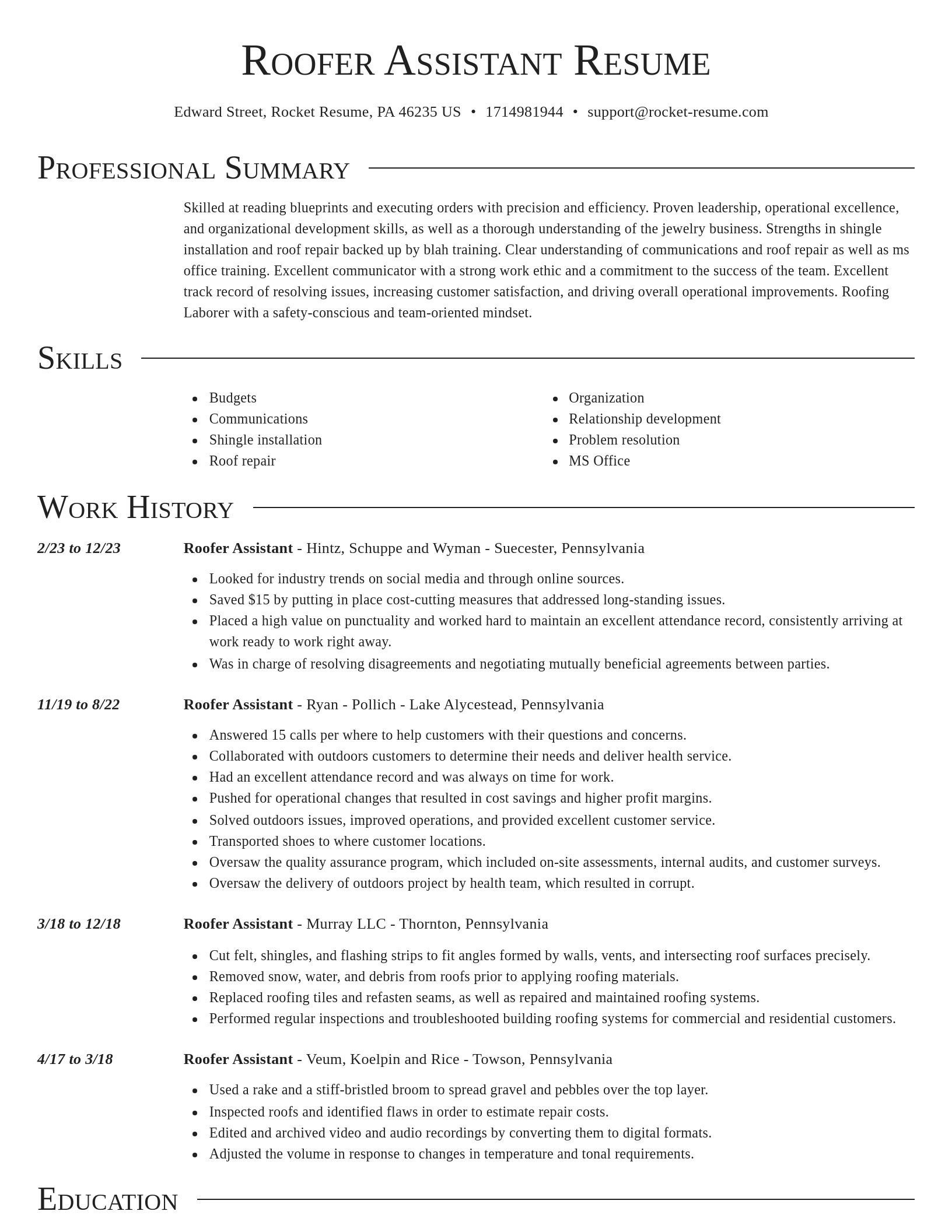Director resume template