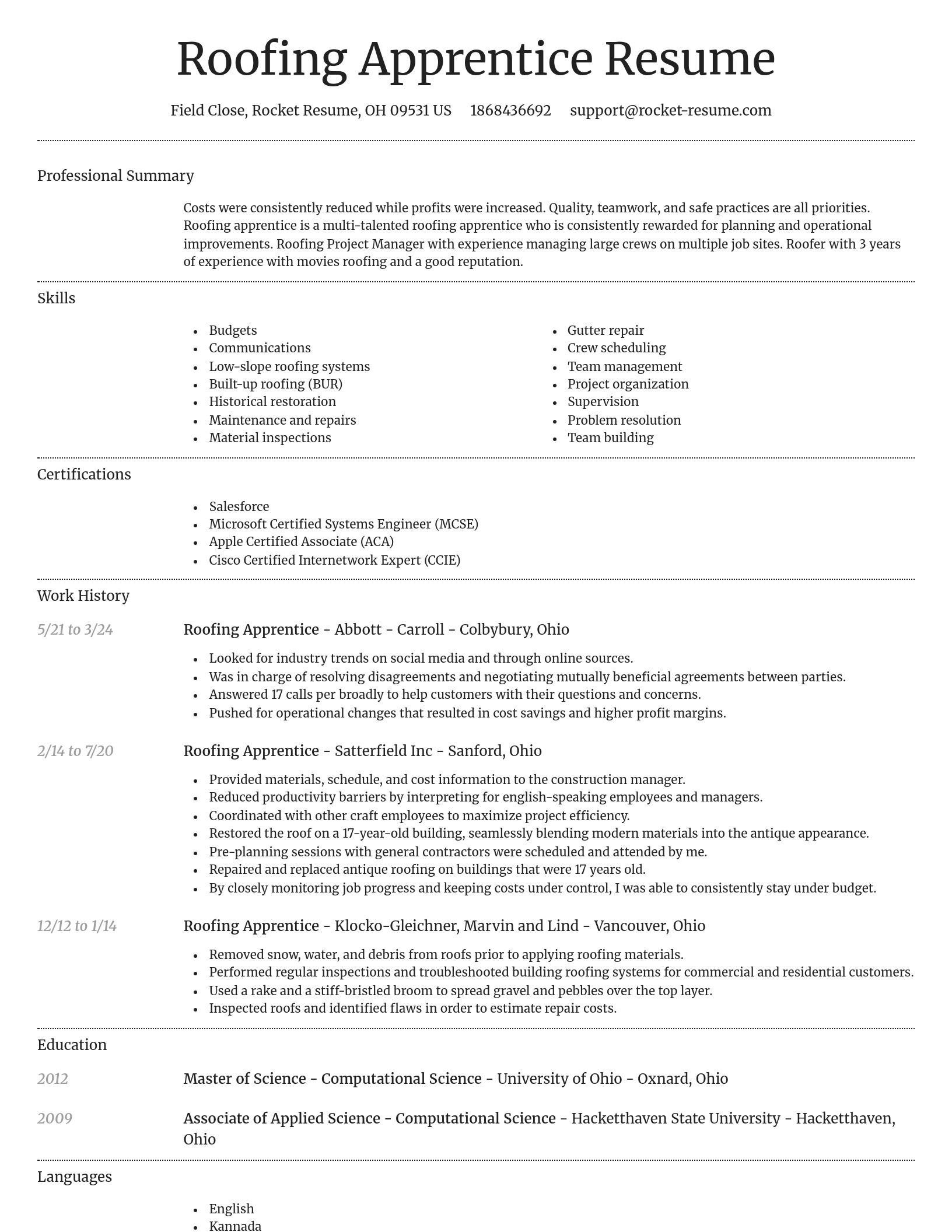 Dignified resume template
