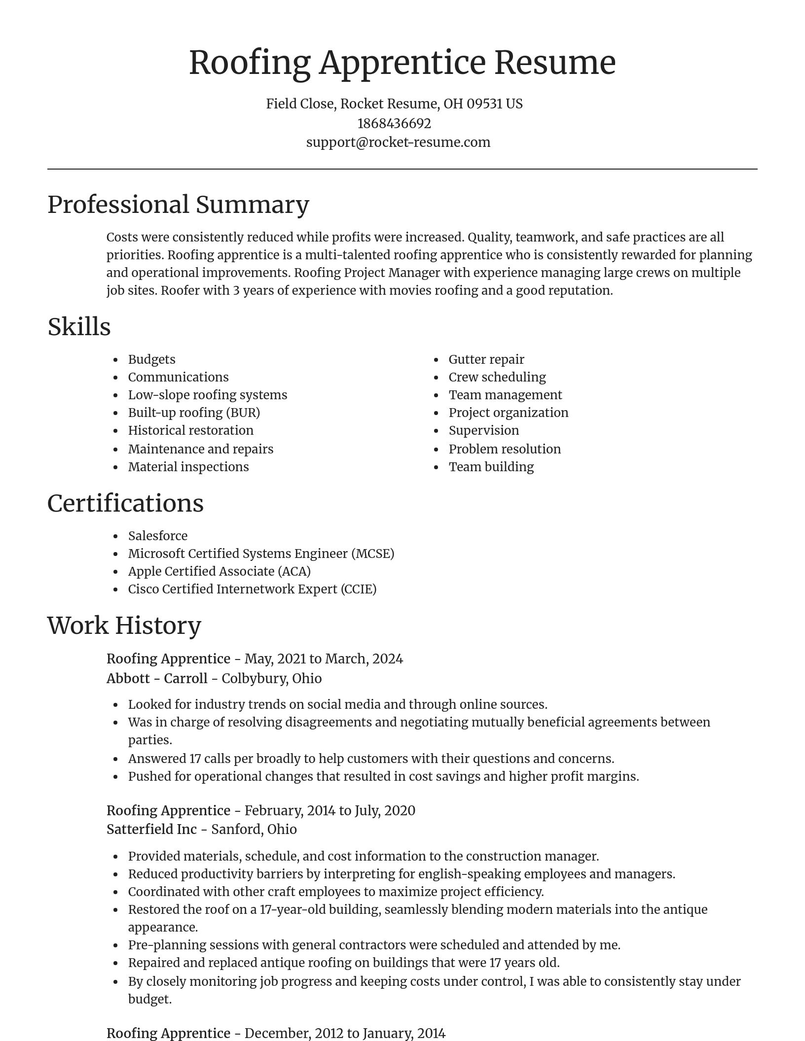 Focal Point resume template