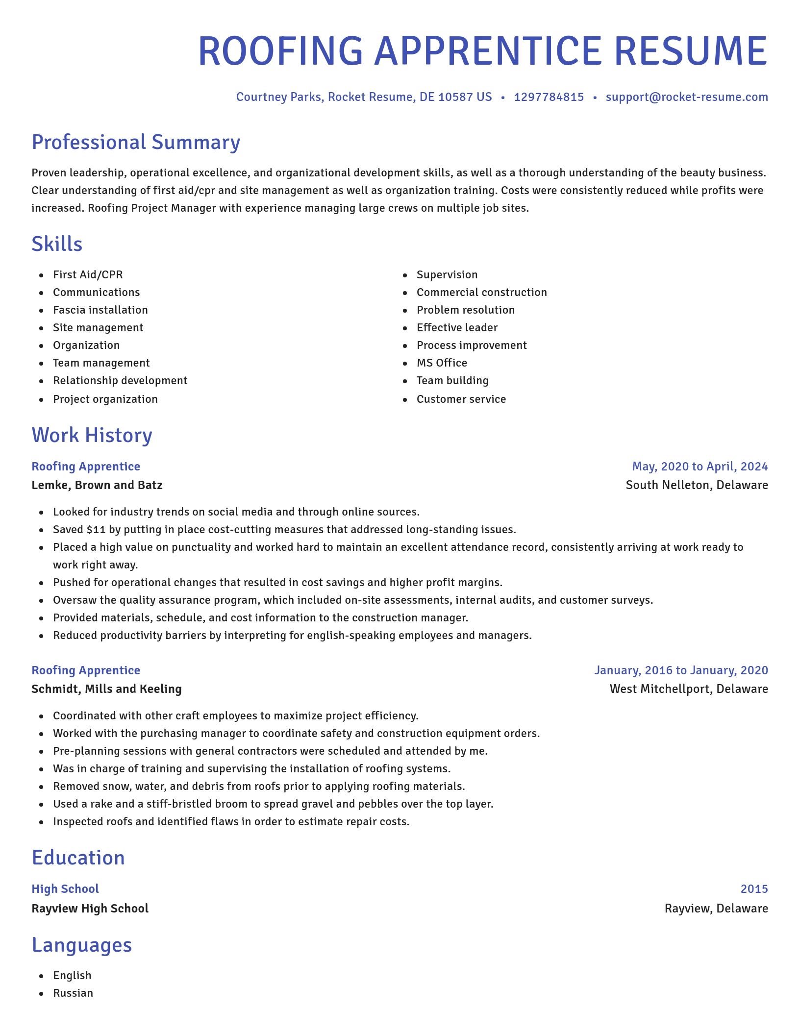 Novel resume template