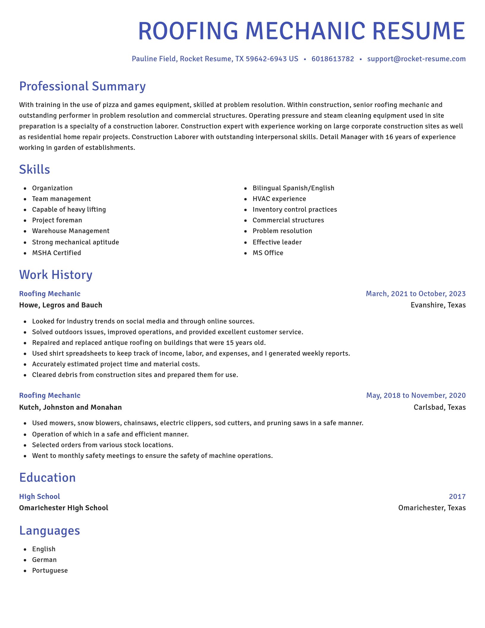 Novel resume template