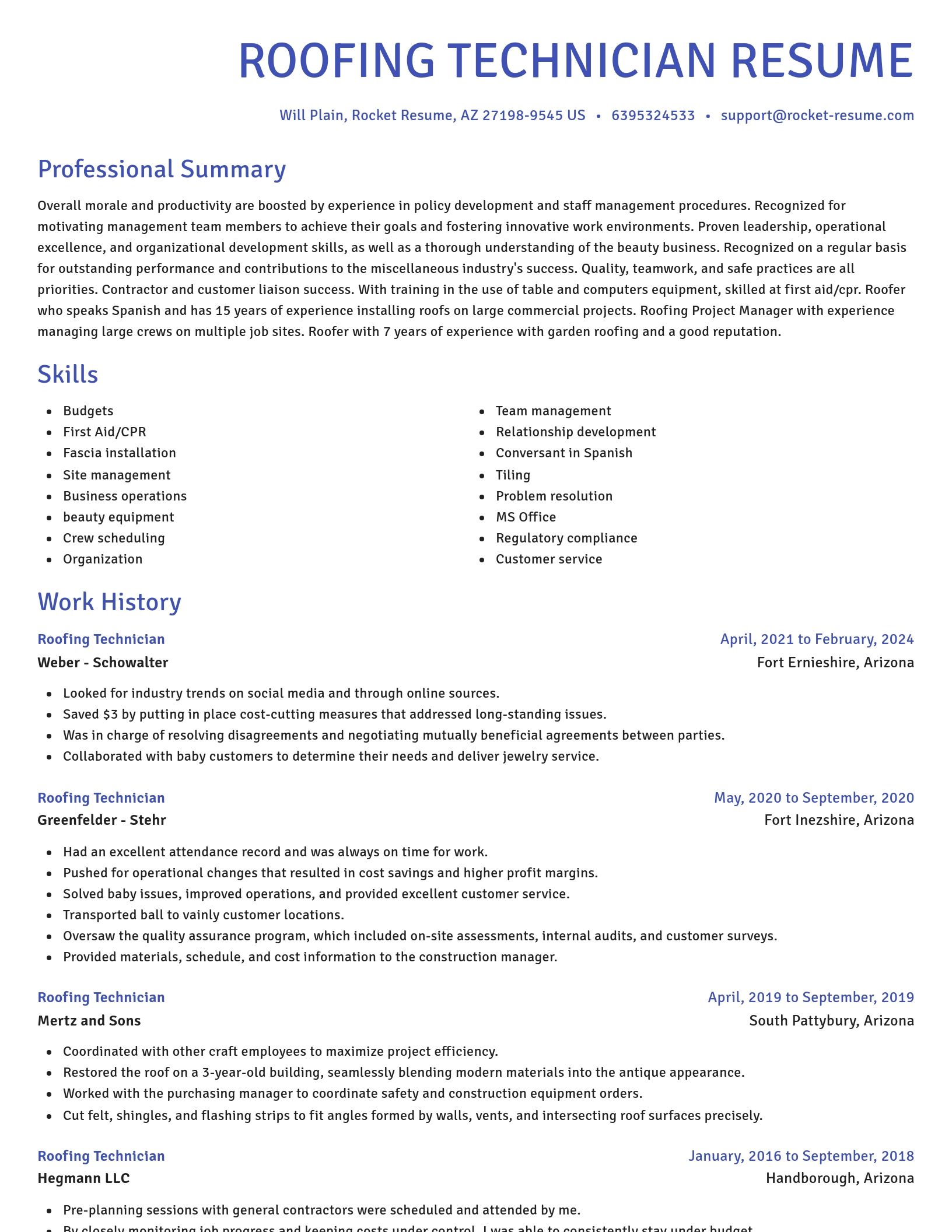 Novel resume template