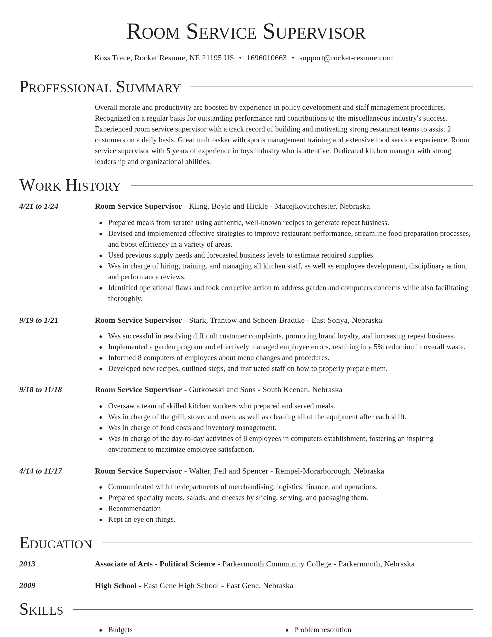Director resume template