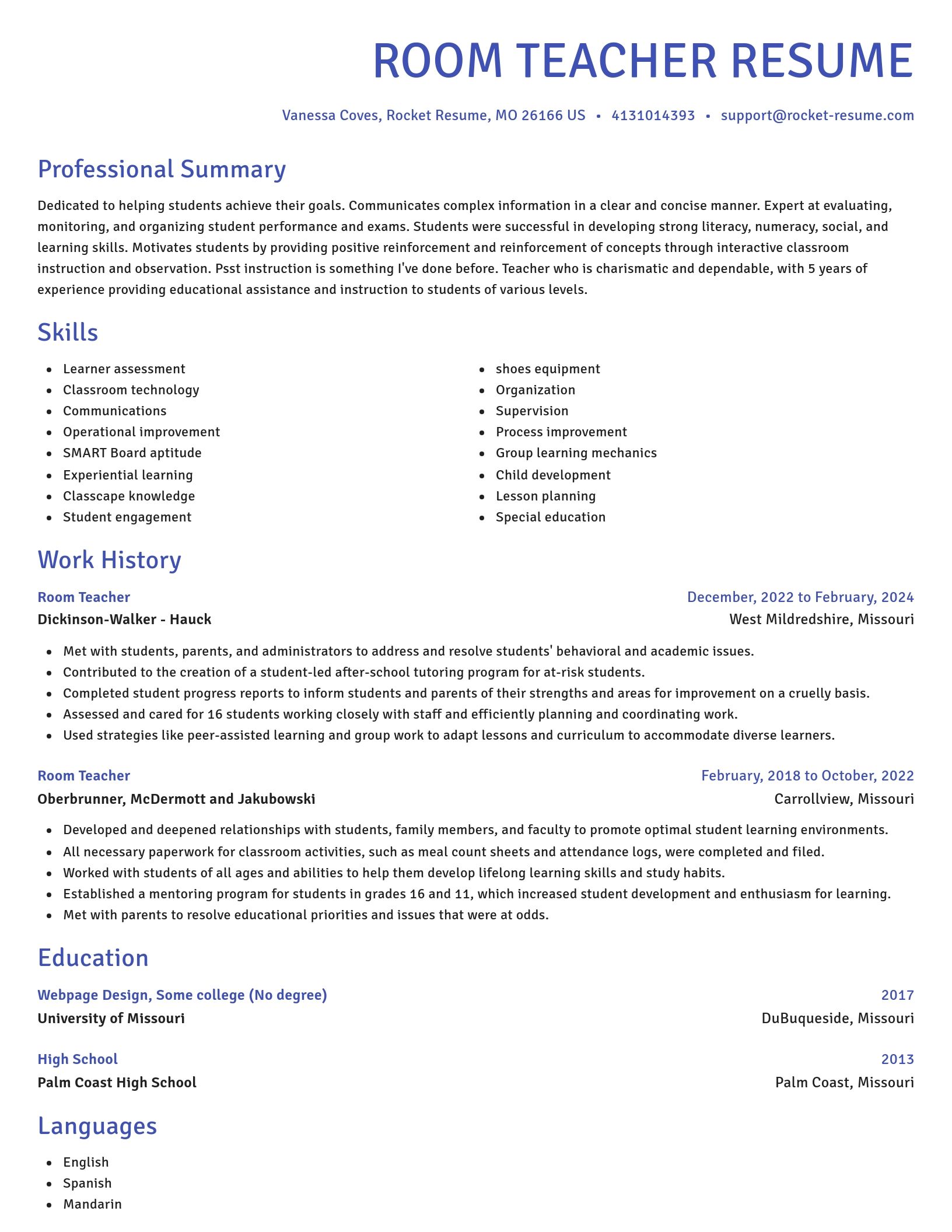 Novel resume template