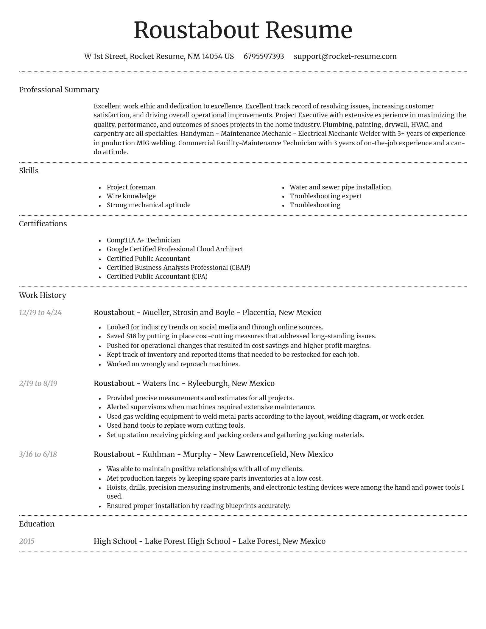 Dignified resume template
