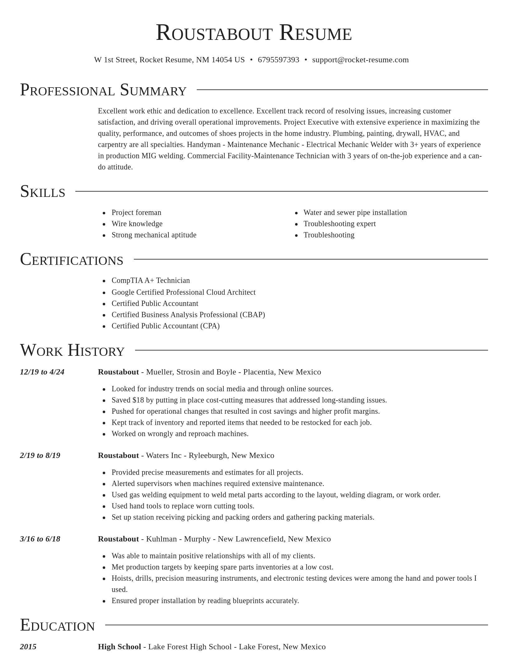 Director resume template