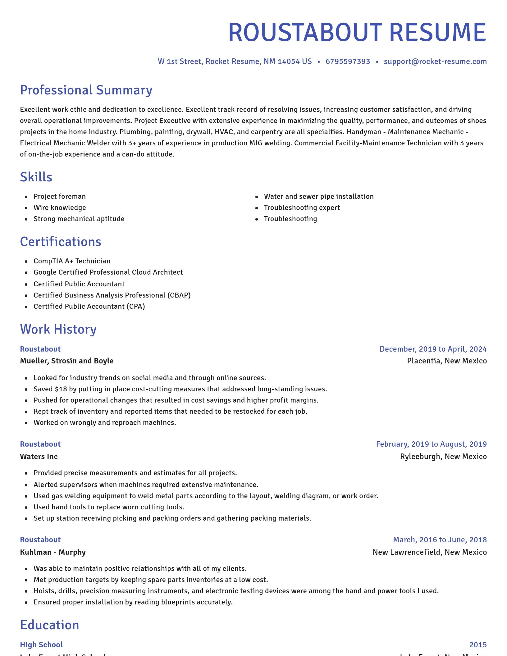 Novel resume template