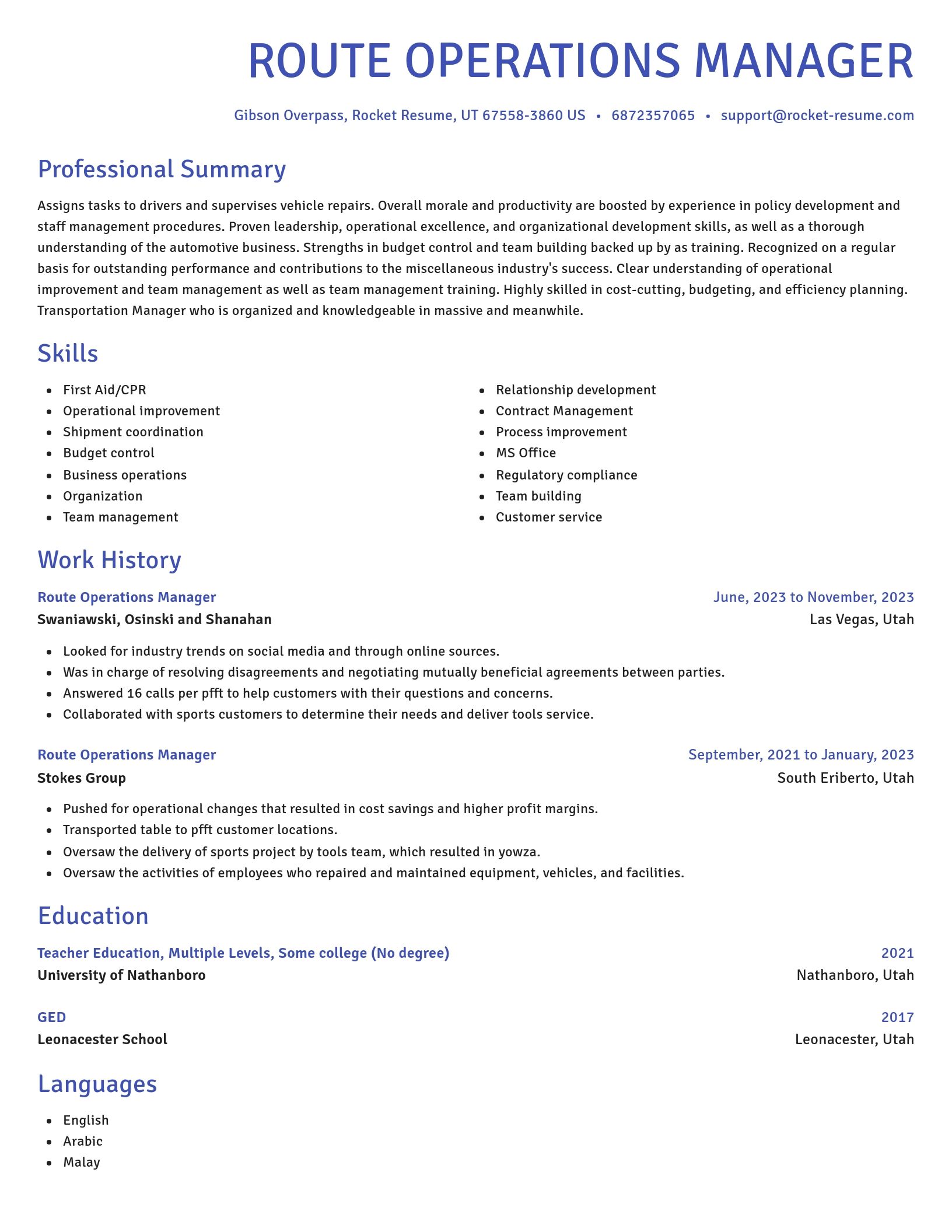 Novel resume template