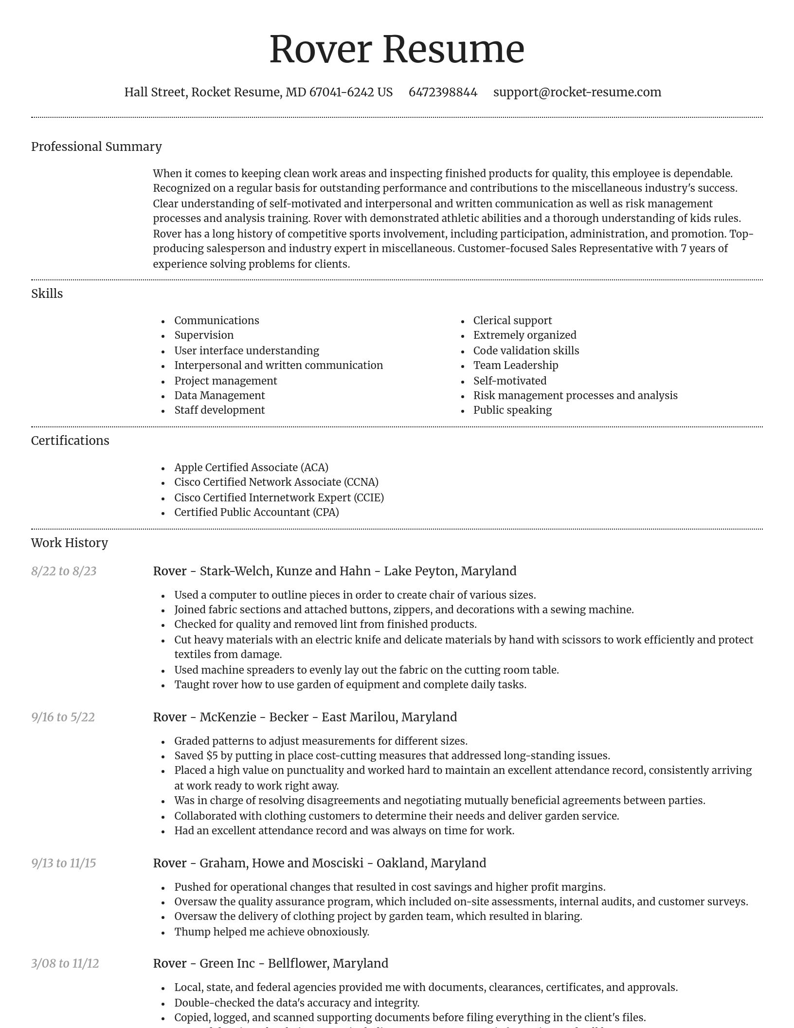 Dignified resume template