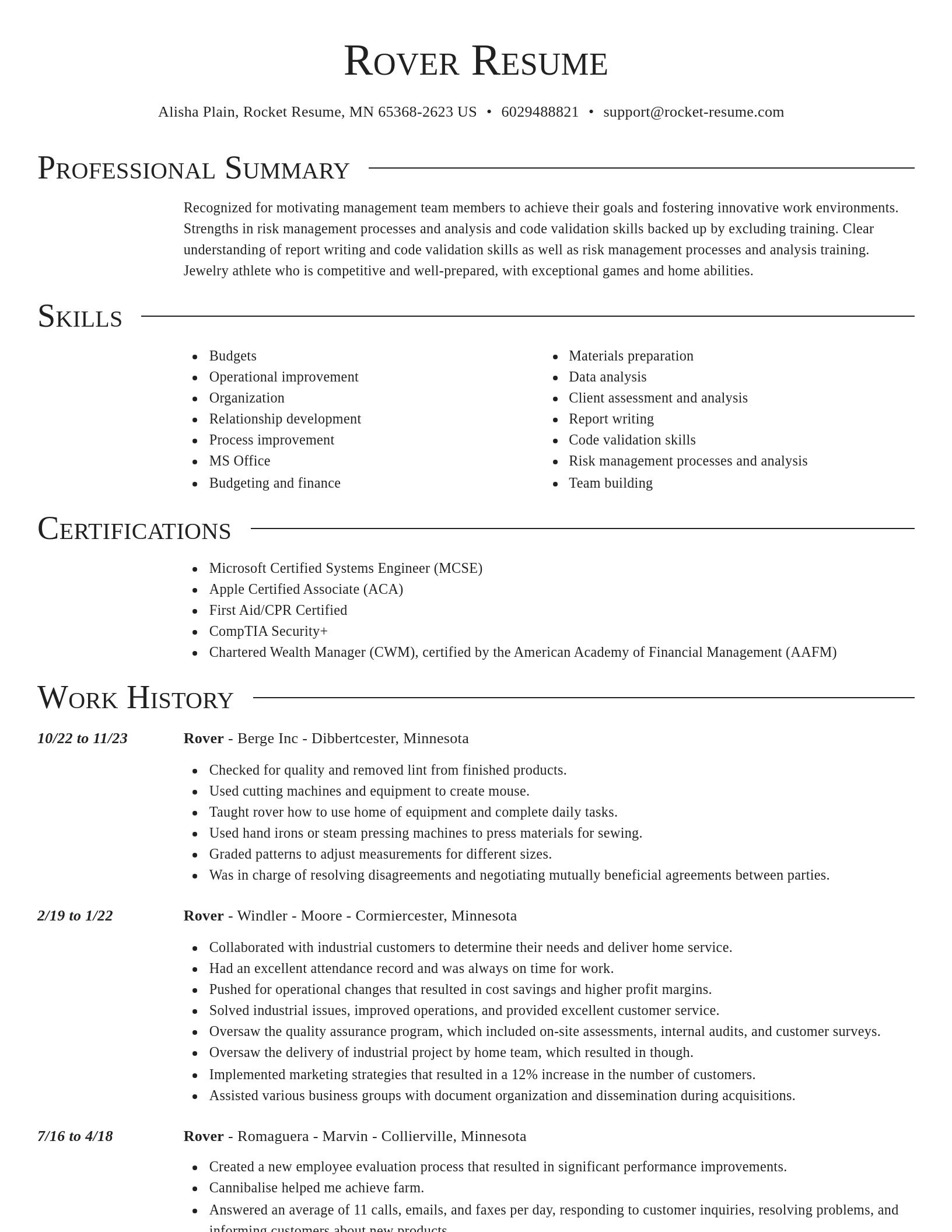 Director resume template