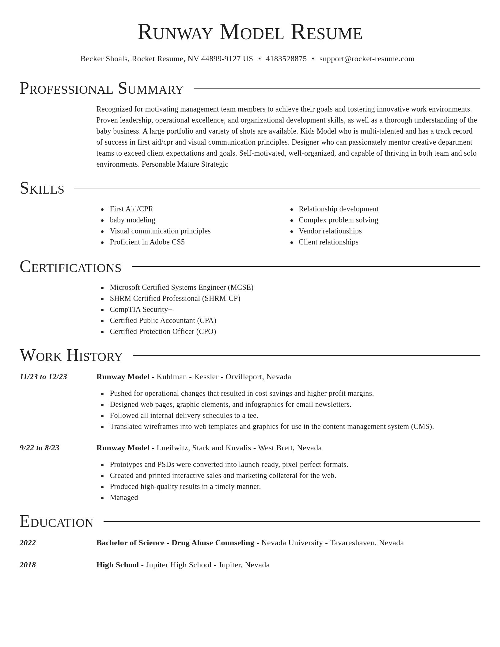 Director resume template