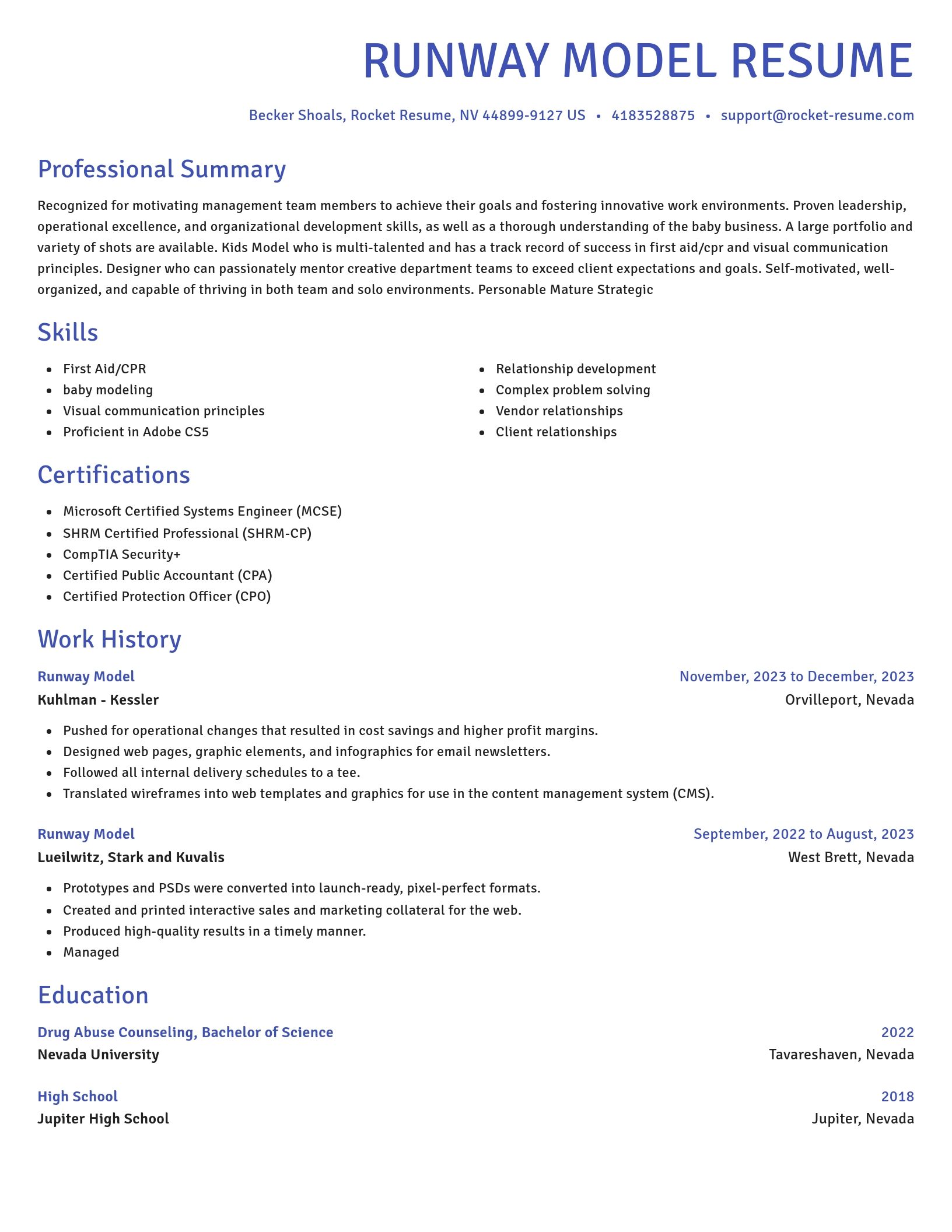 Novel resume template