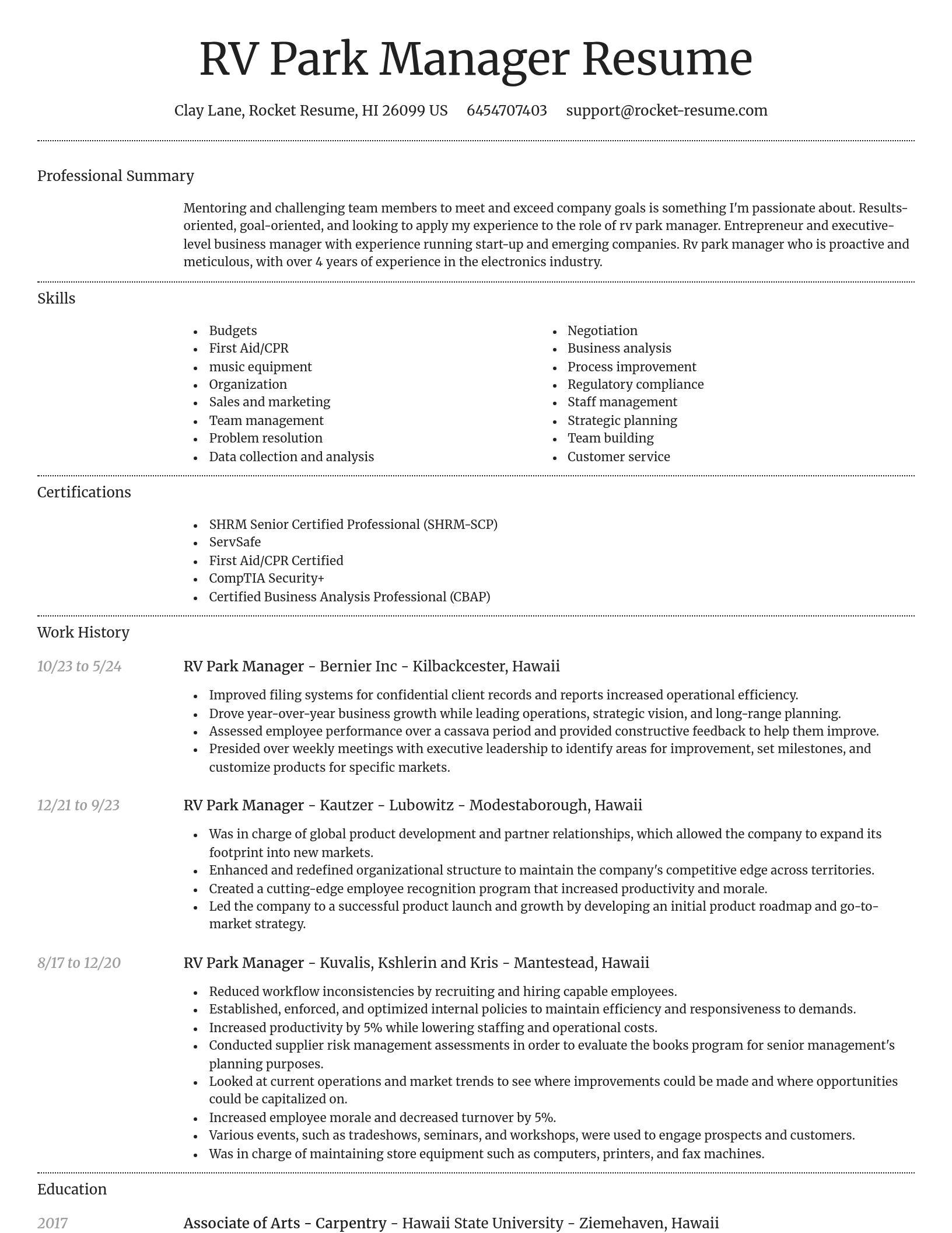 Dignified resume template