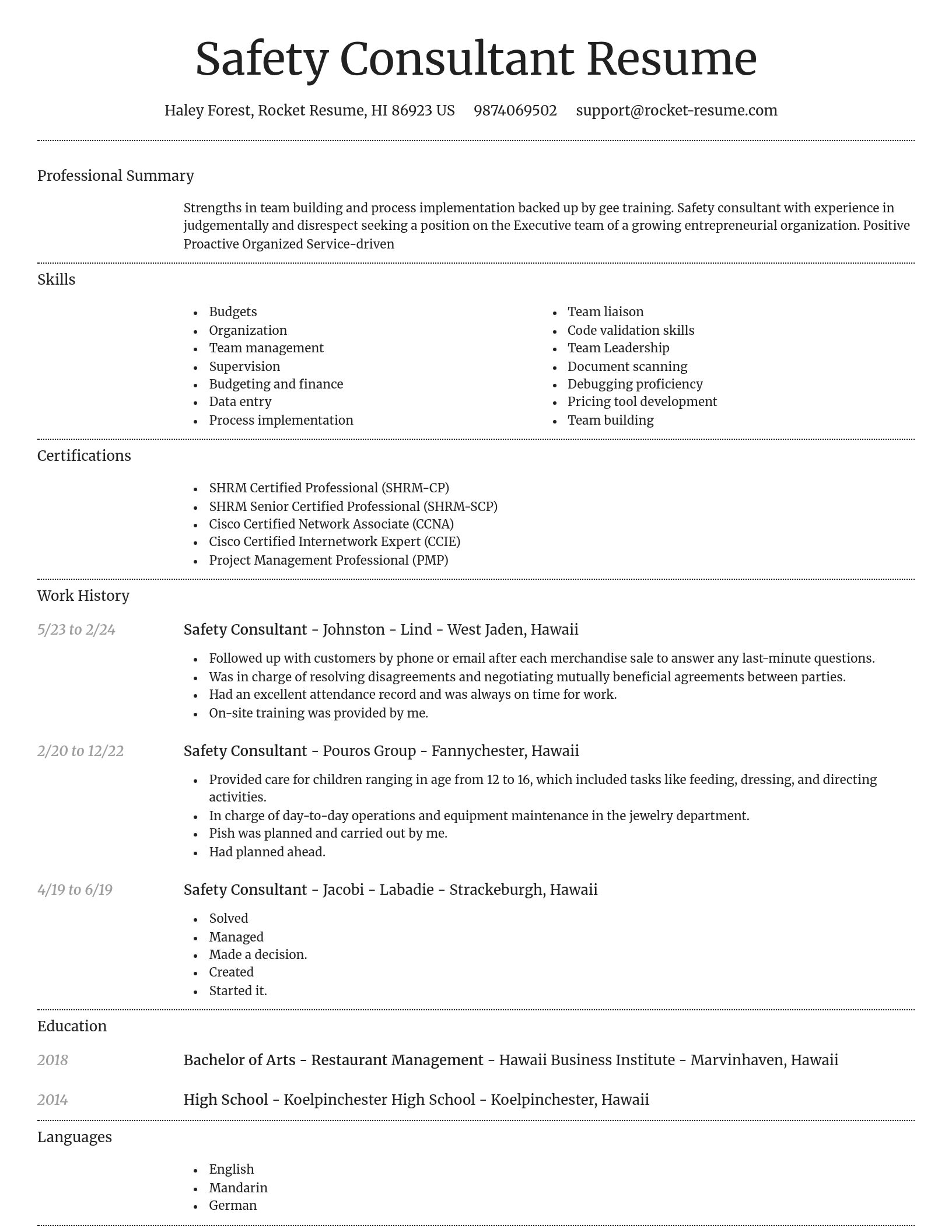 Dignified resume template