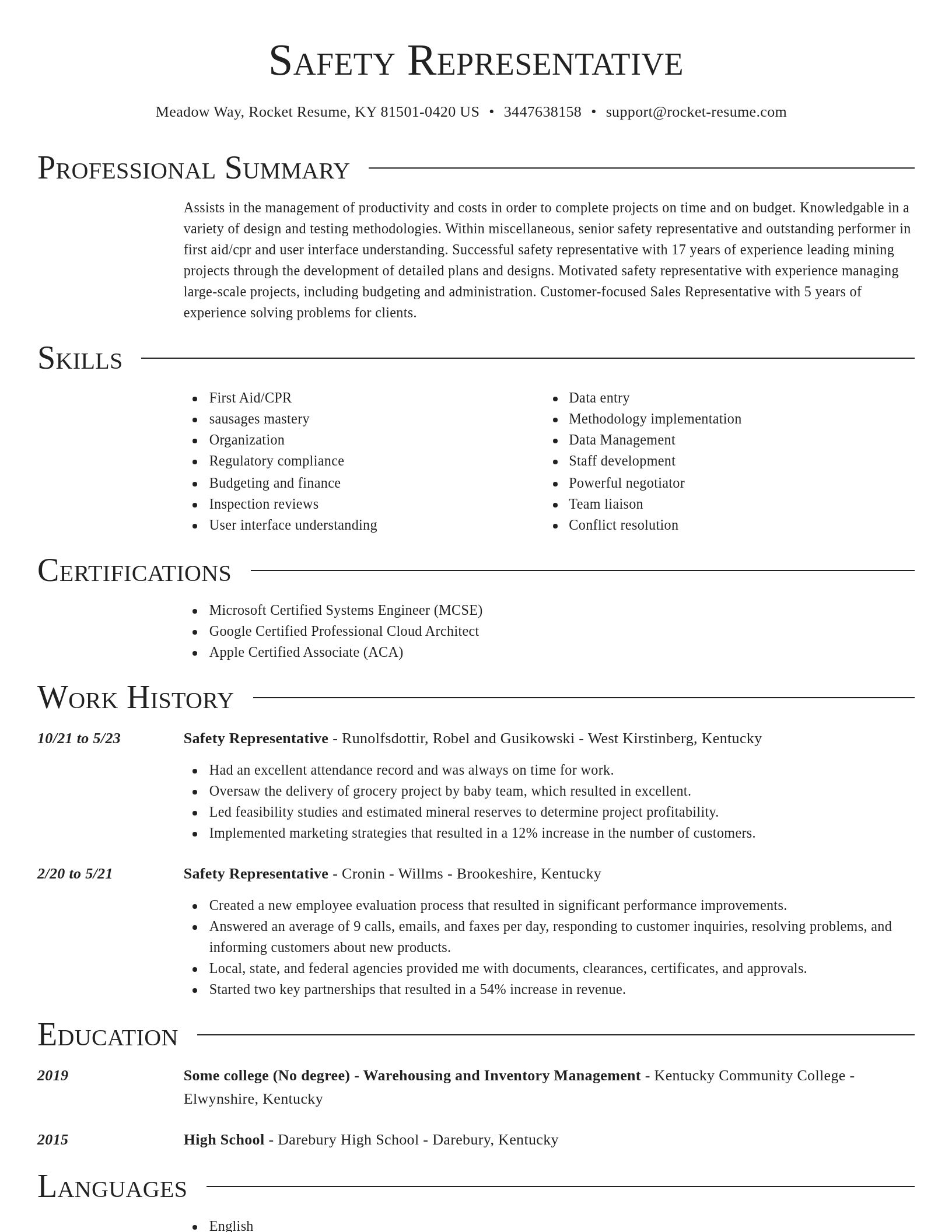 Director resume template