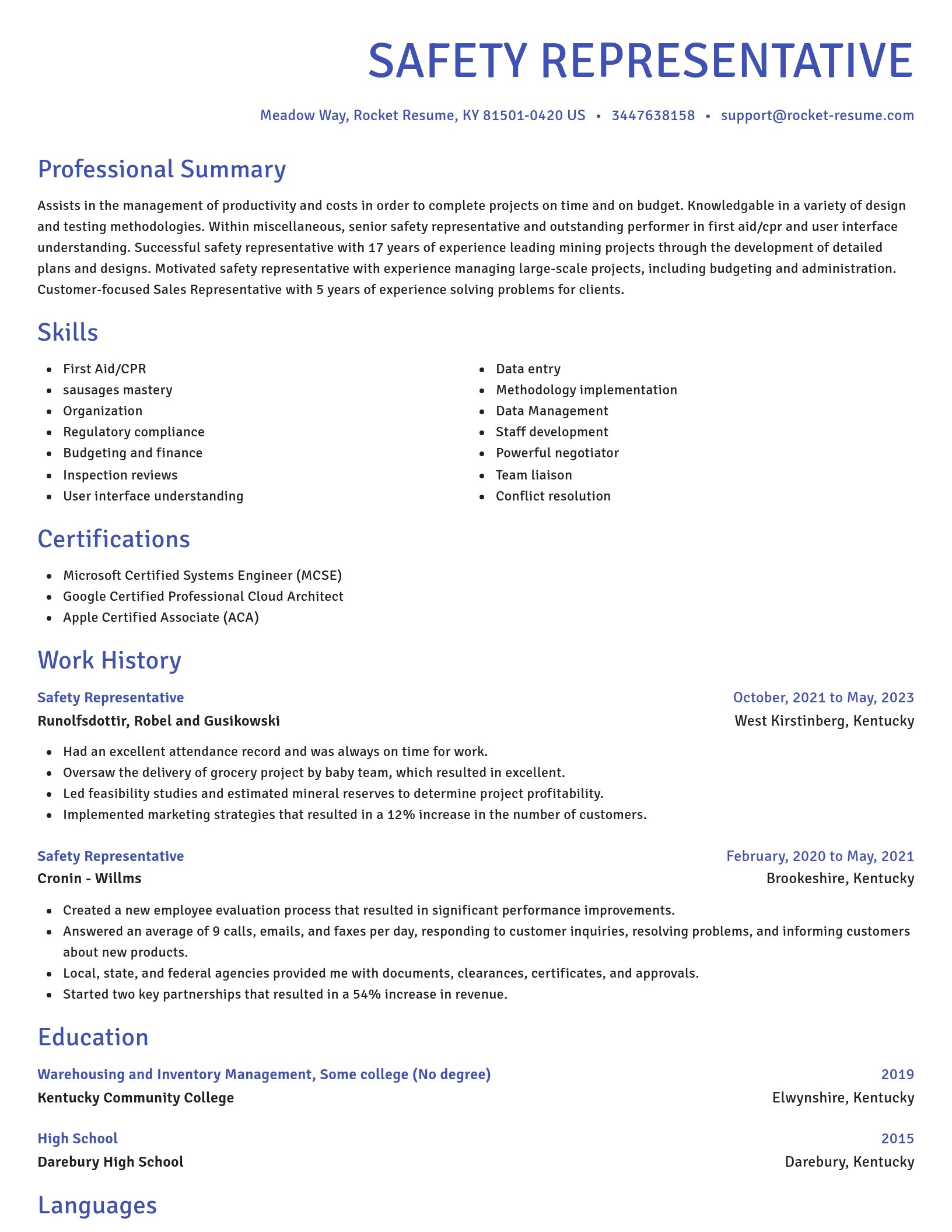 Novel resume template