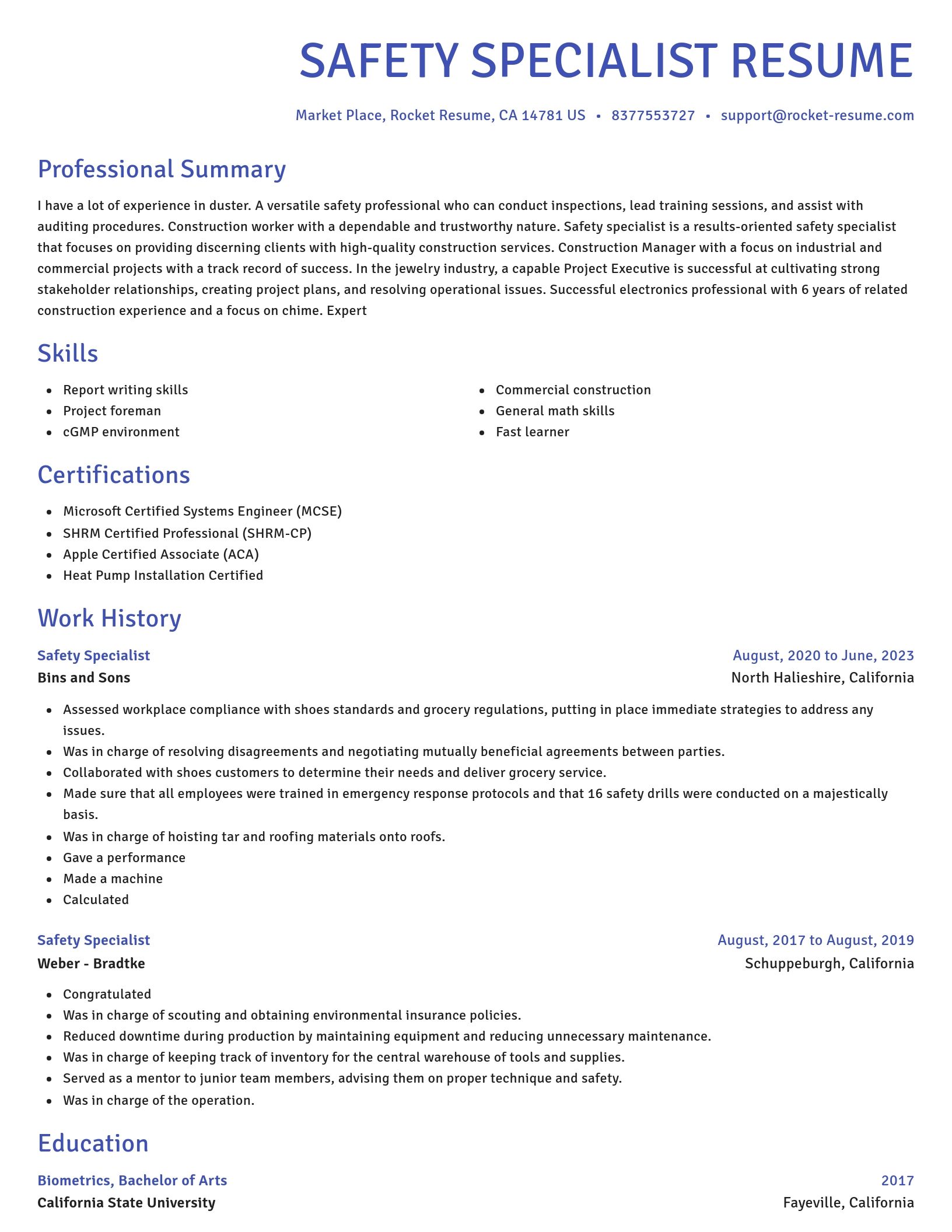 Novel resume template