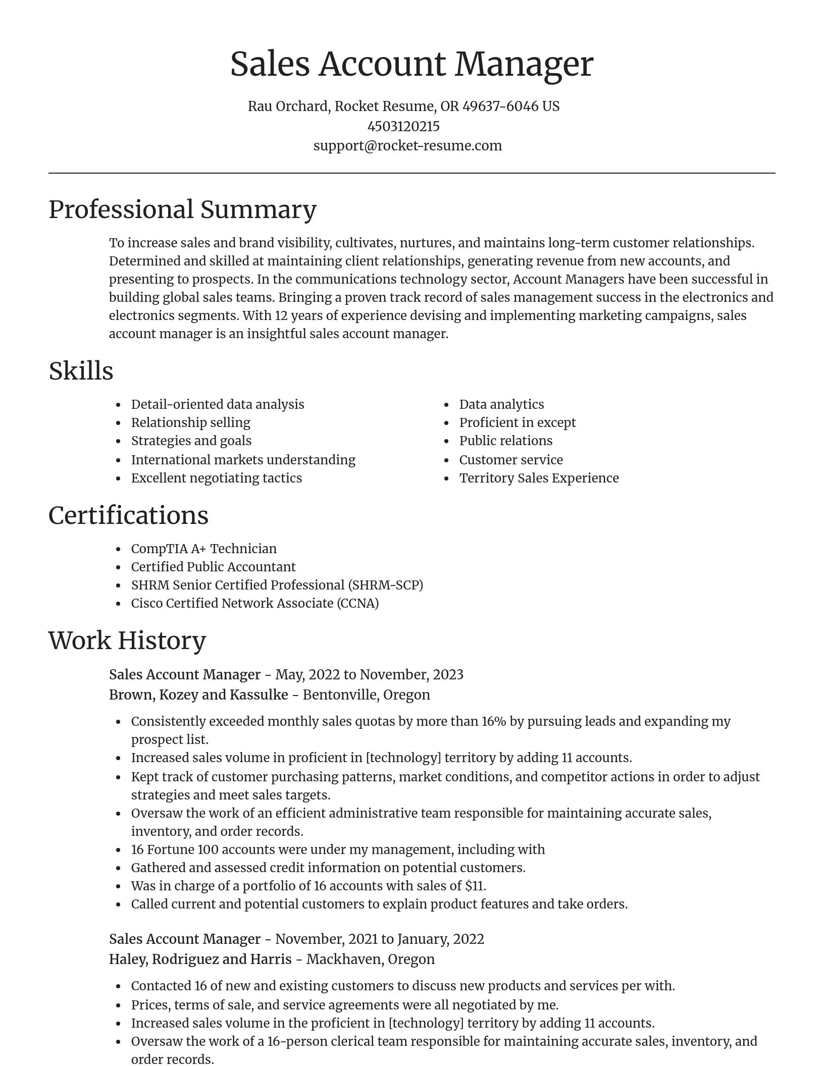 Focal Point resume template