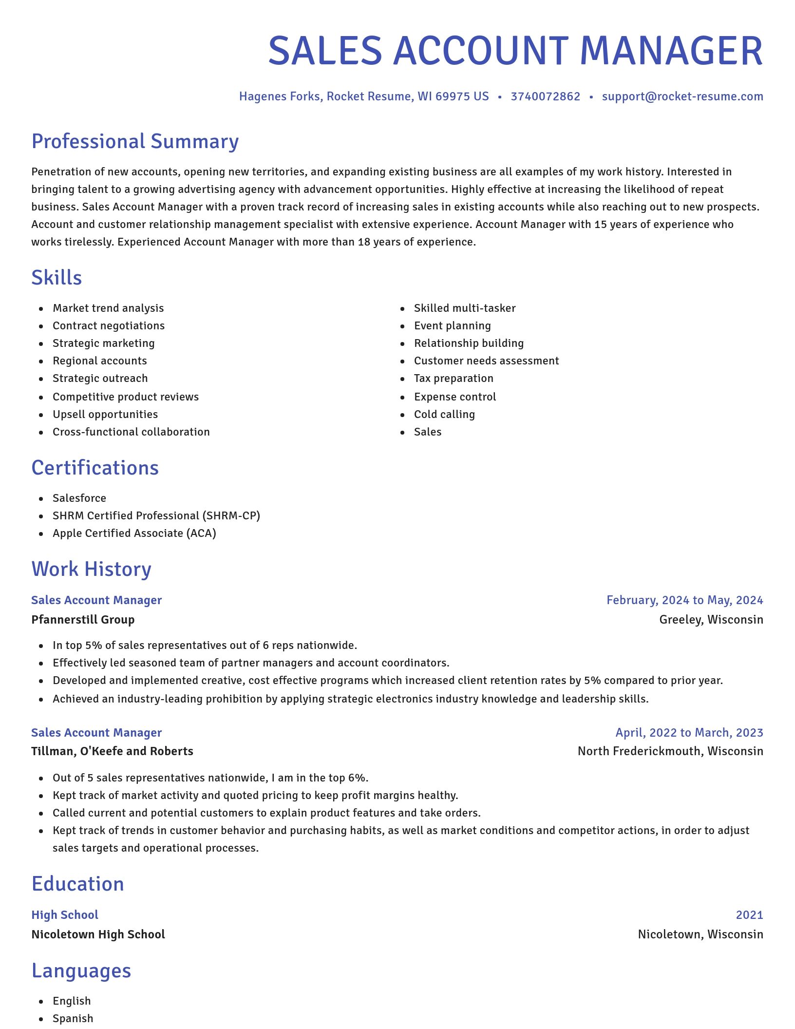 Novel resume template