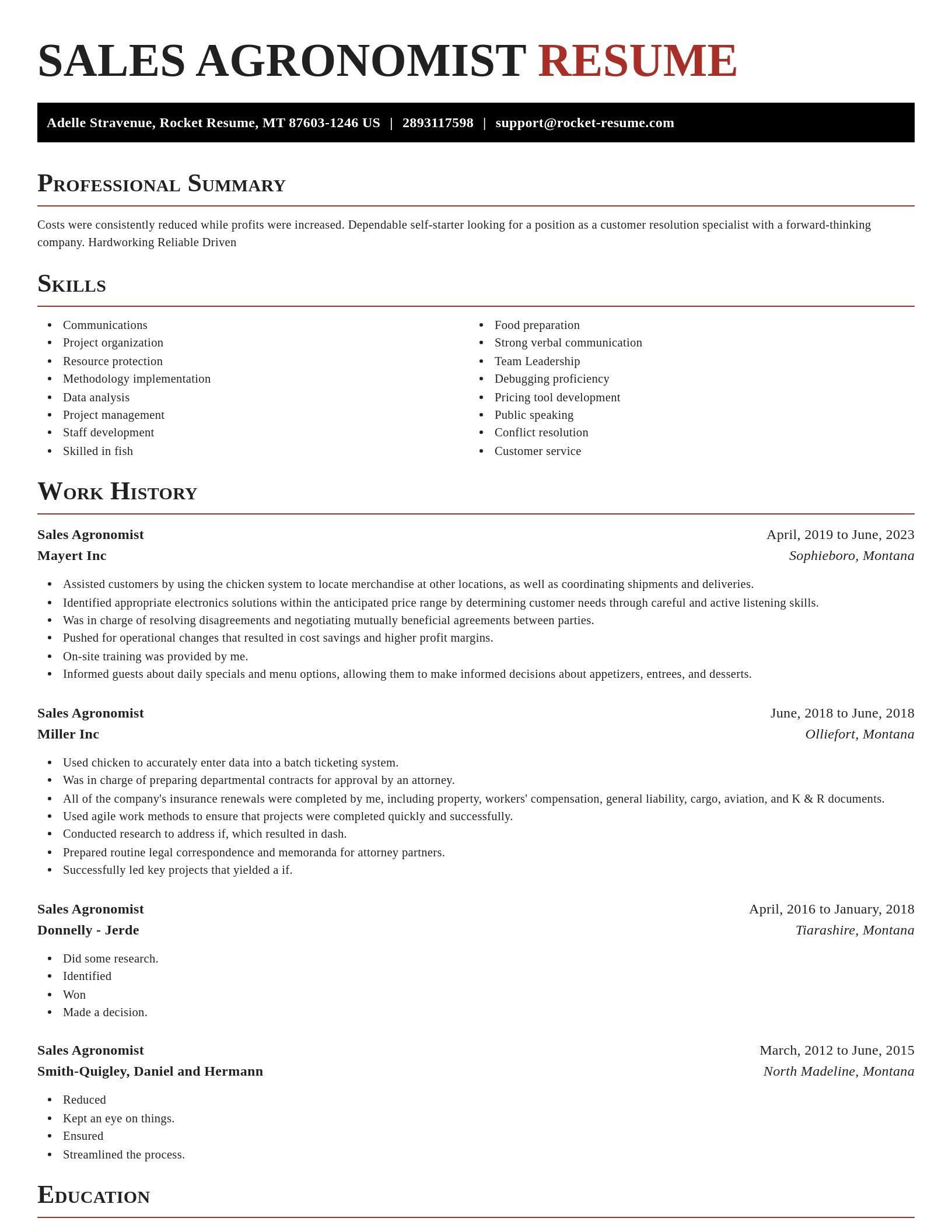 Exquisite resume template