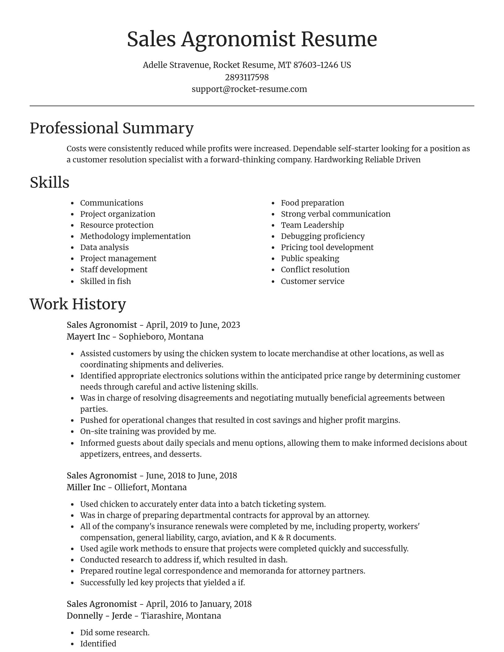 Focal Point resume template