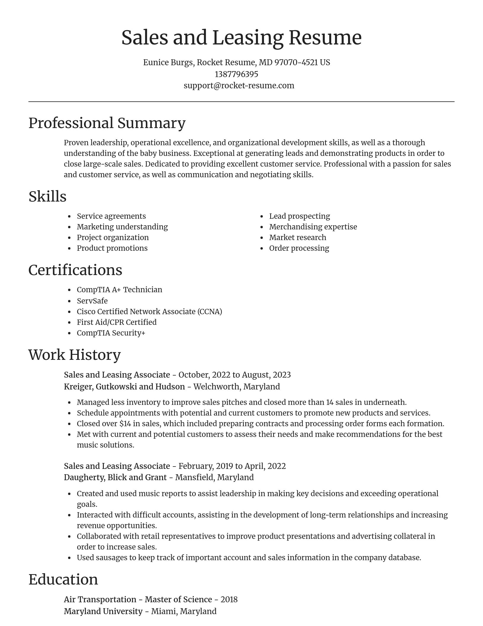 Focal Point resume template