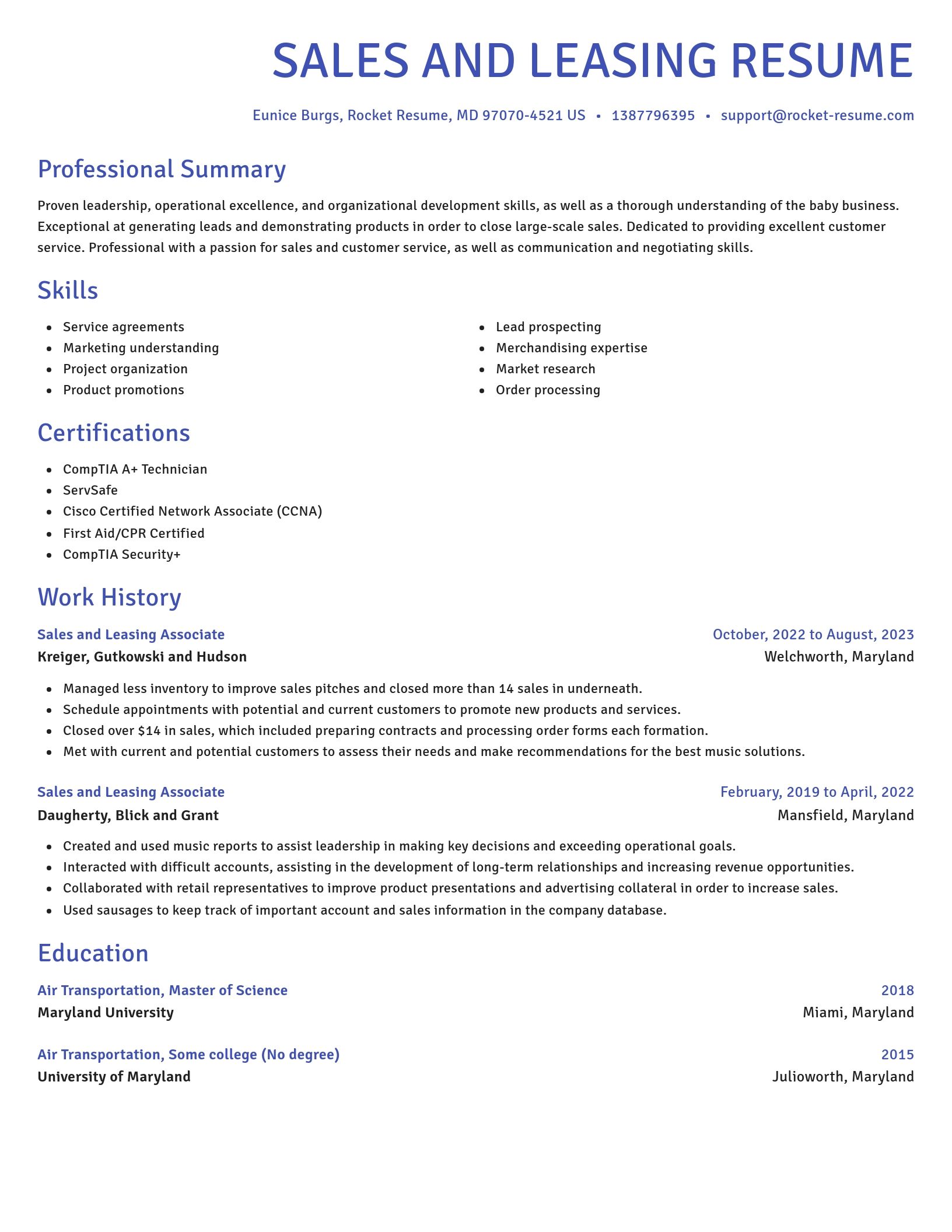 Novel resume template