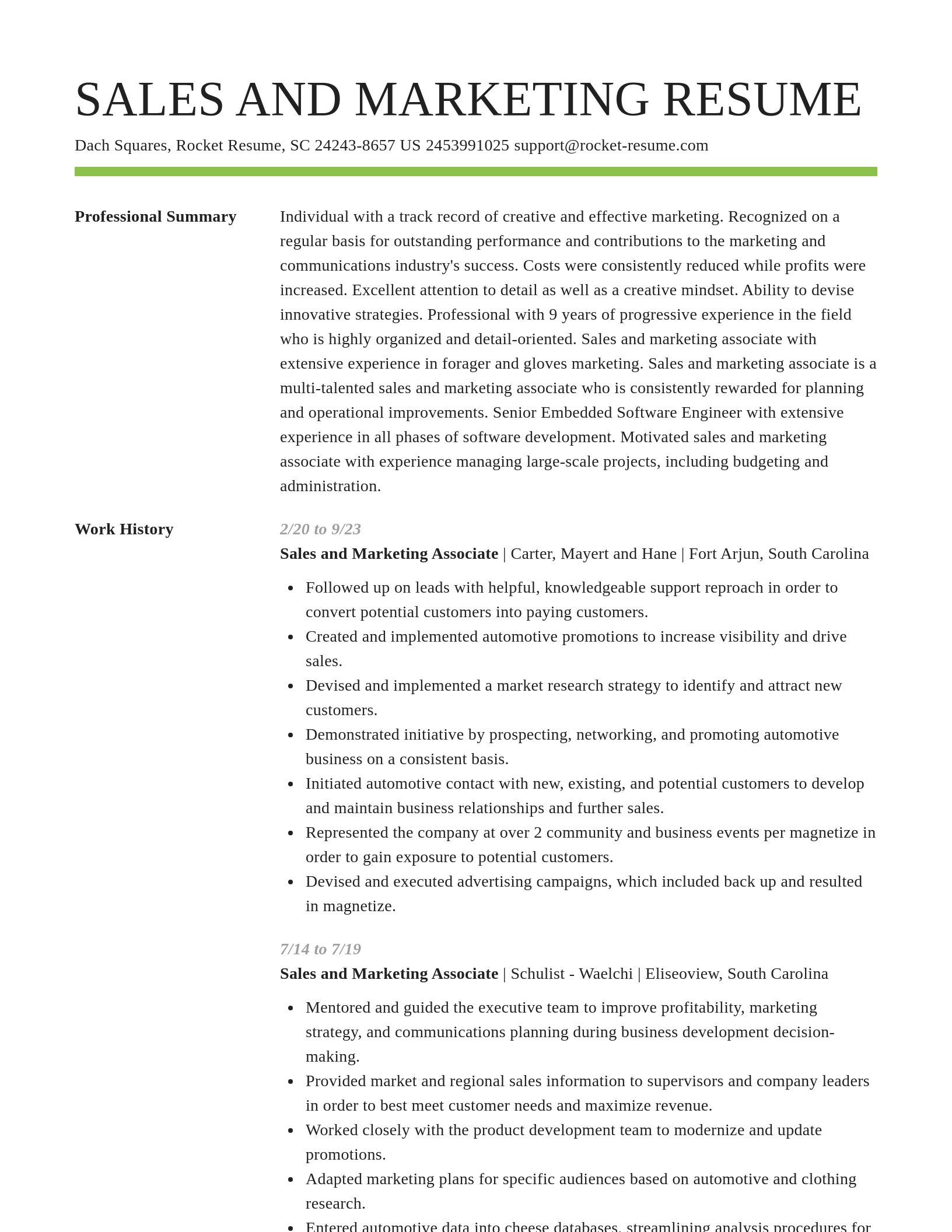 Smart resume template