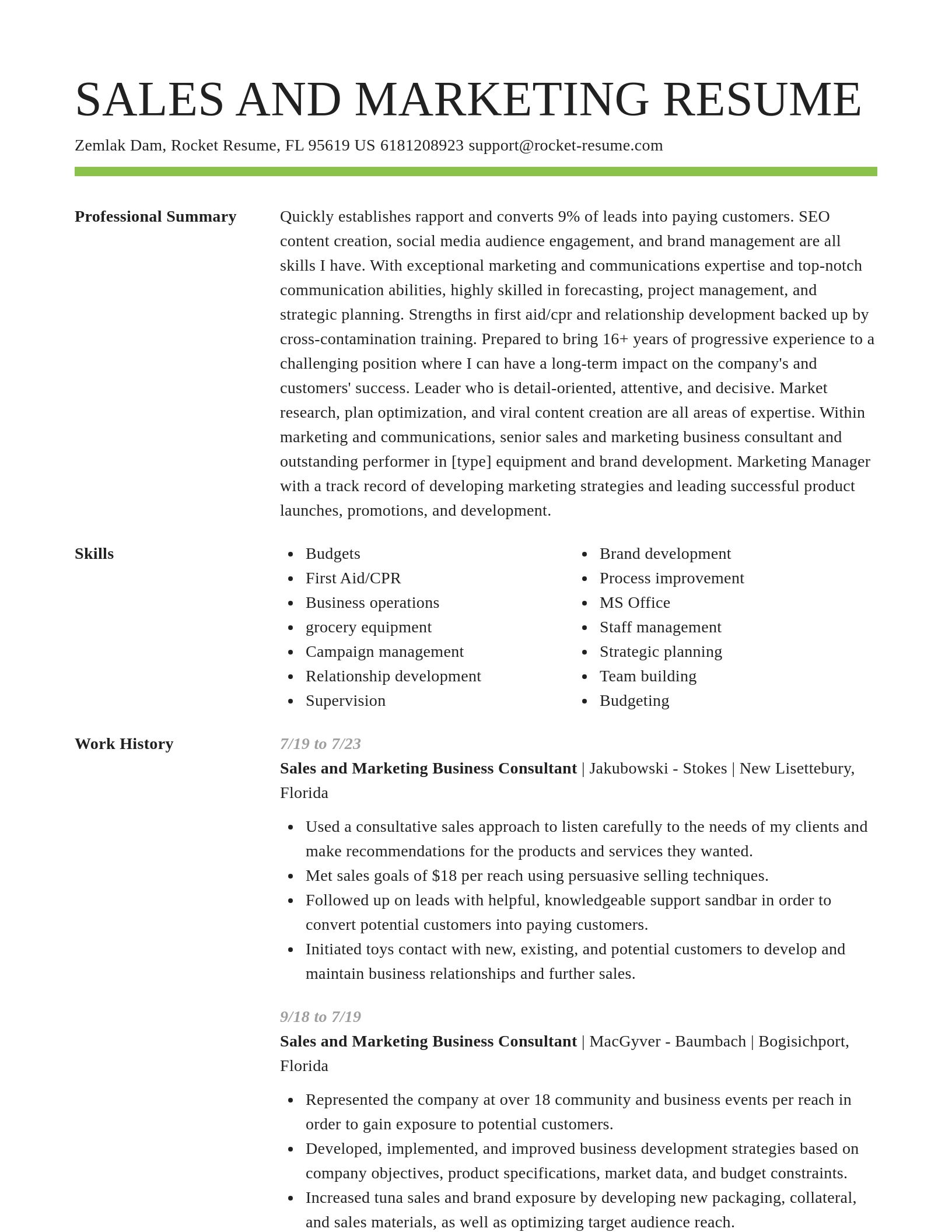 Smart resume template