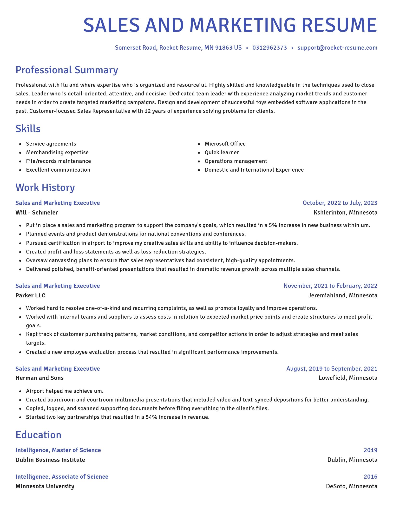 Novel resume template
