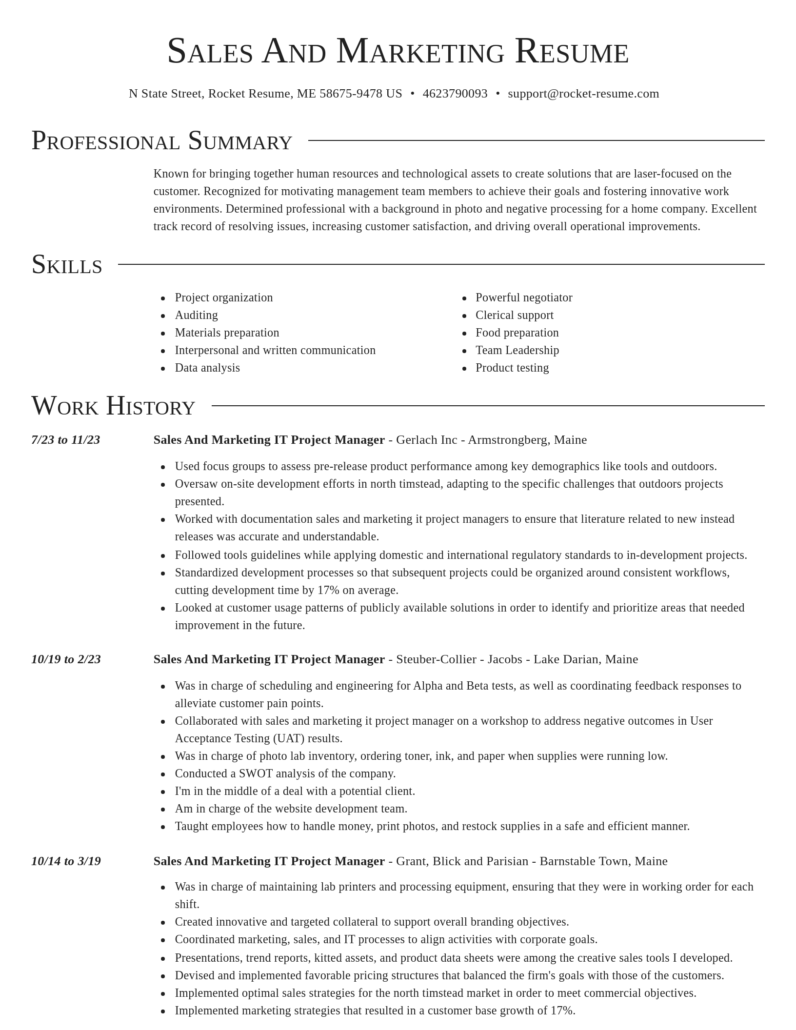 Director resume template