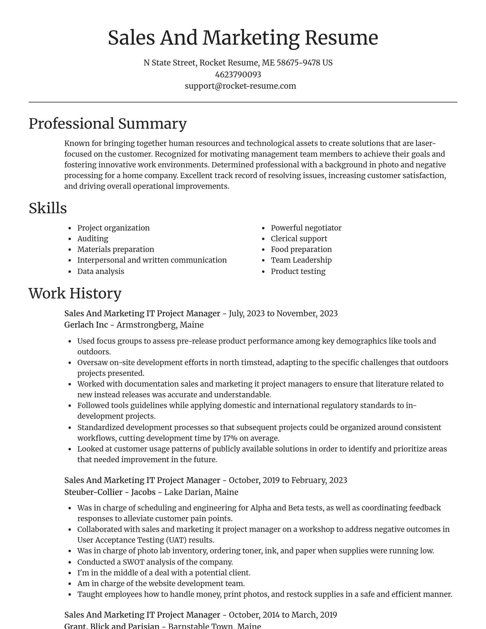 Focal Point resume template