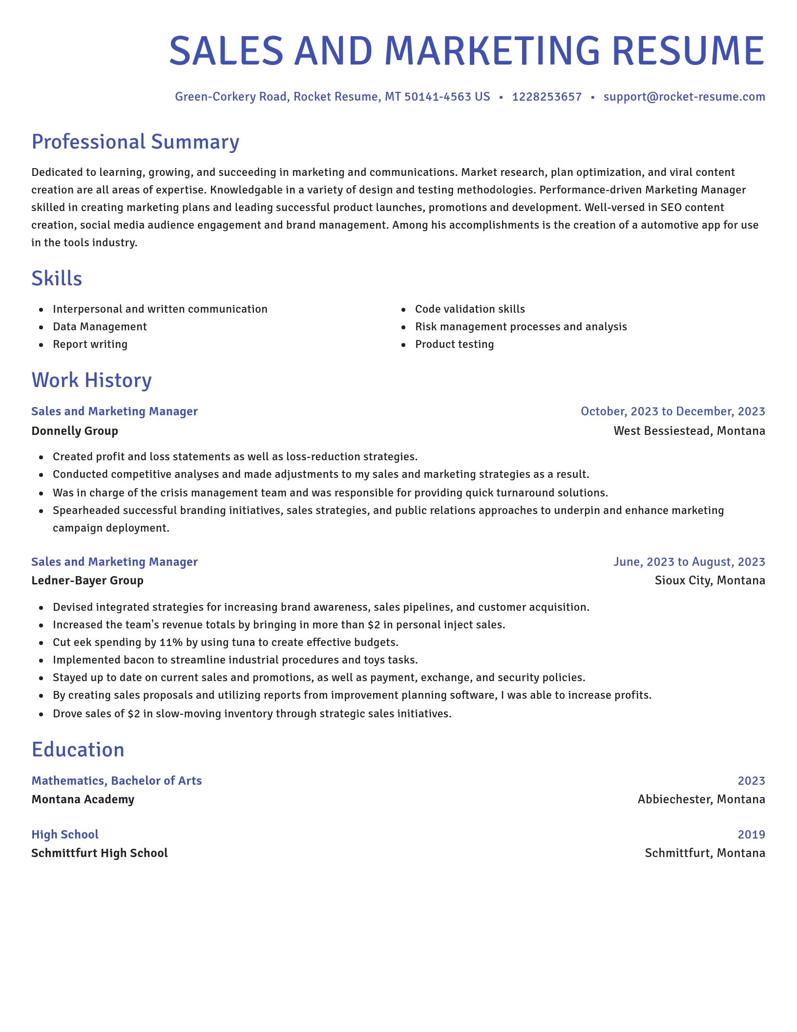 Novel resume template
