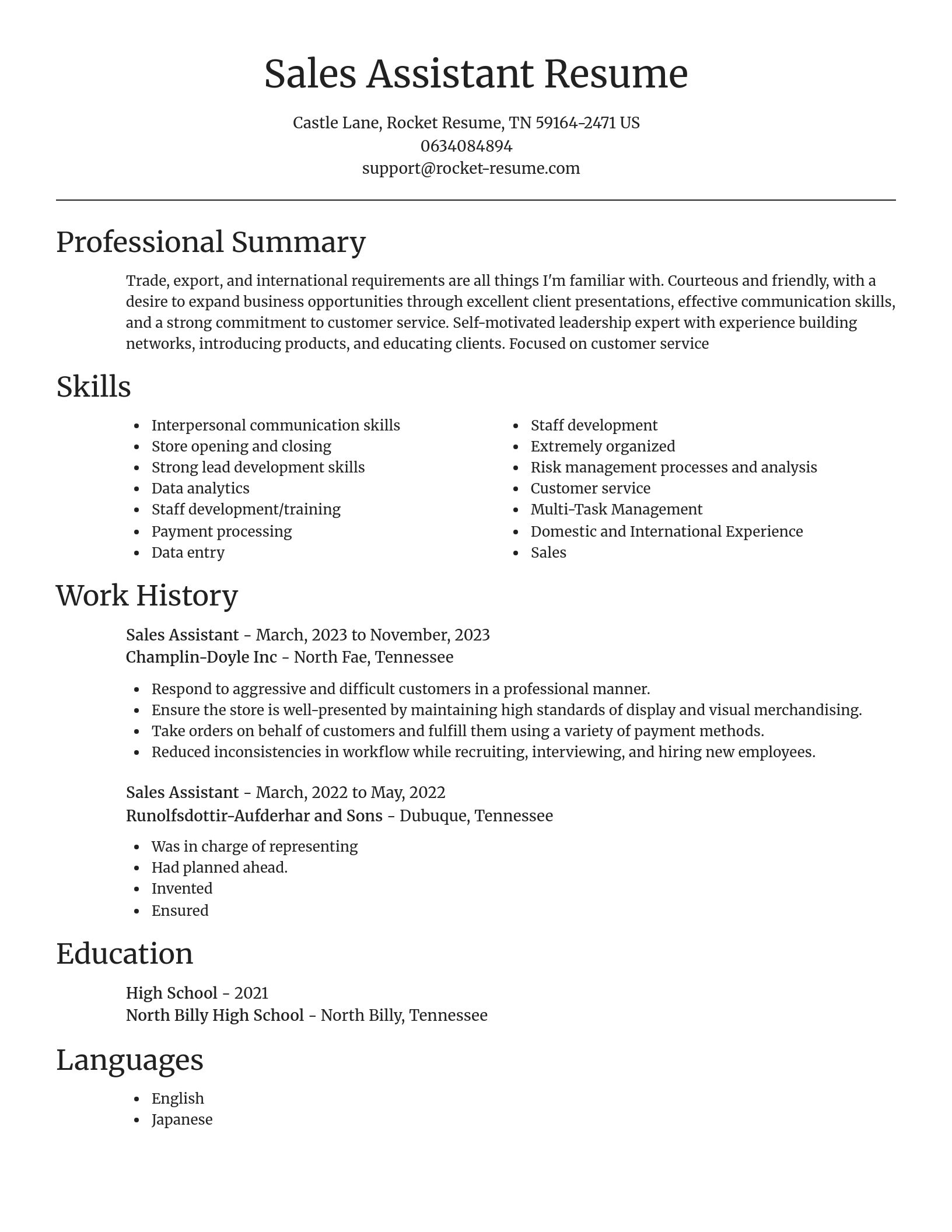 Focal Point resume template