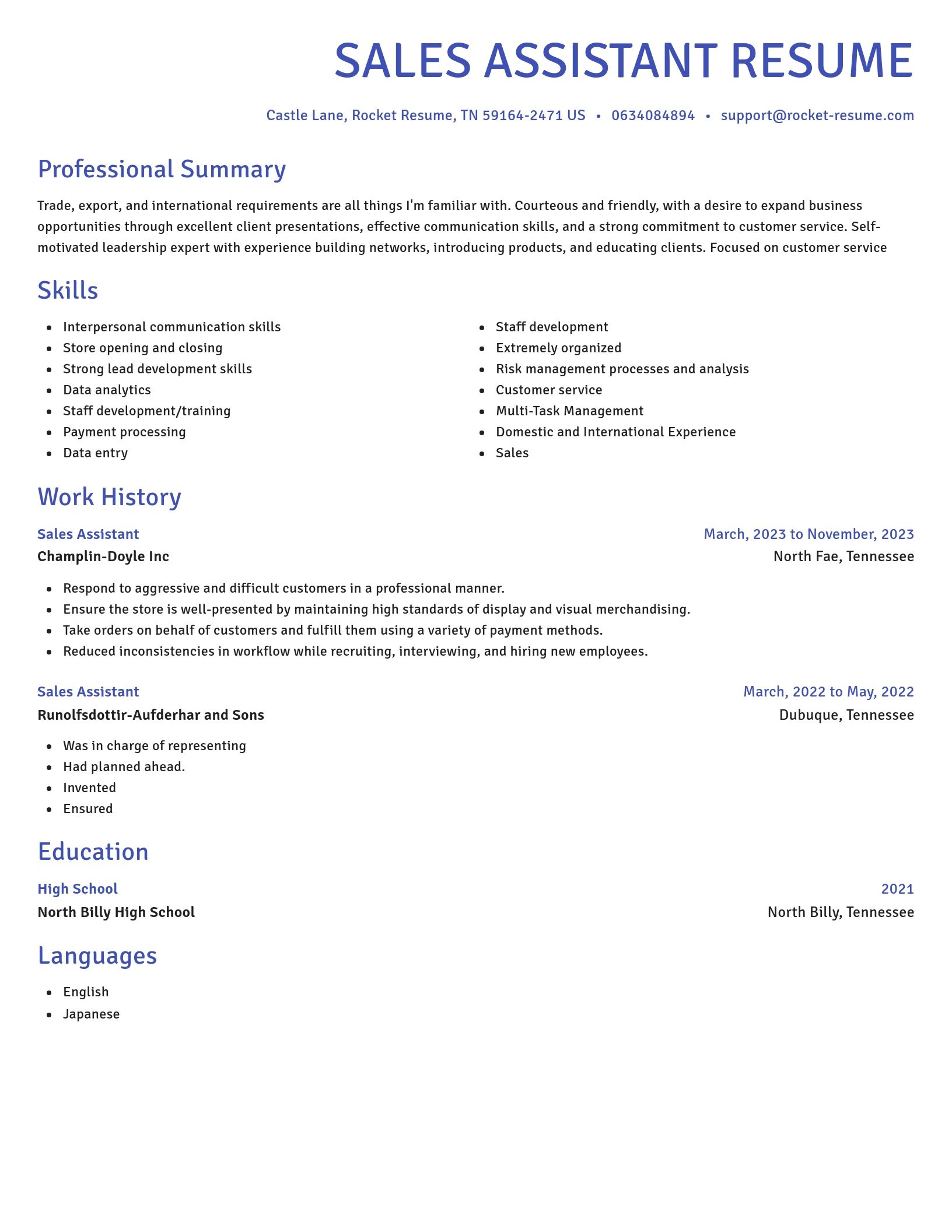 Novel resume template