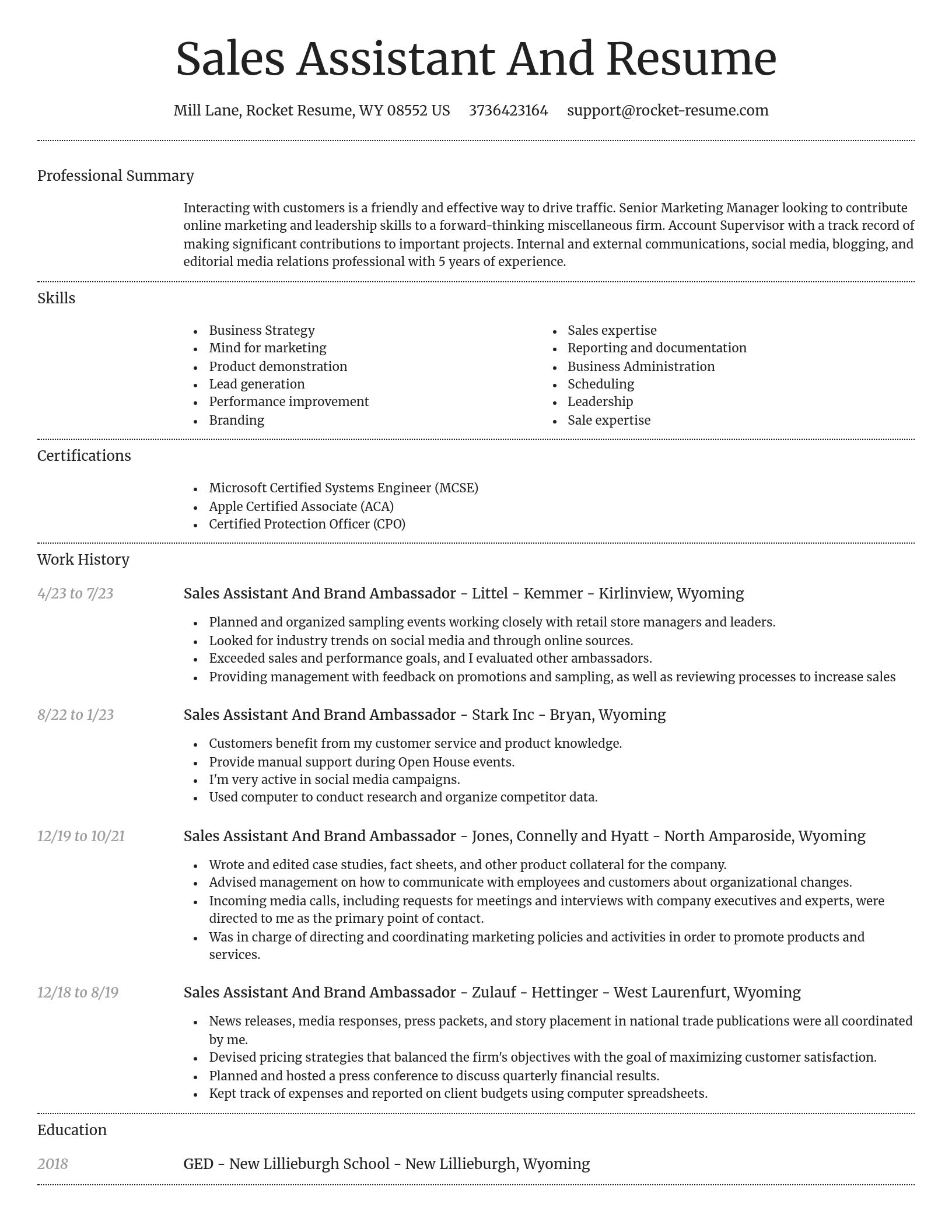 Dignified resume template